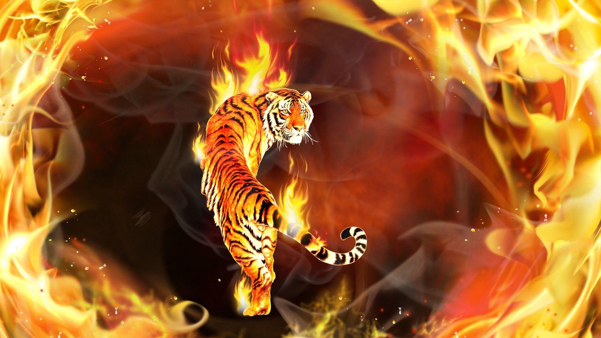 Fire tiger wallpaper [1920x1080]
