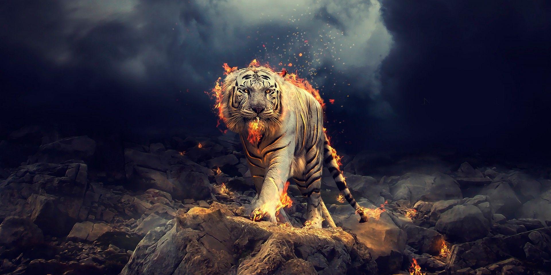 Download 1920x959 White Tiger, Fantasy, Fire, Rocks, Walking