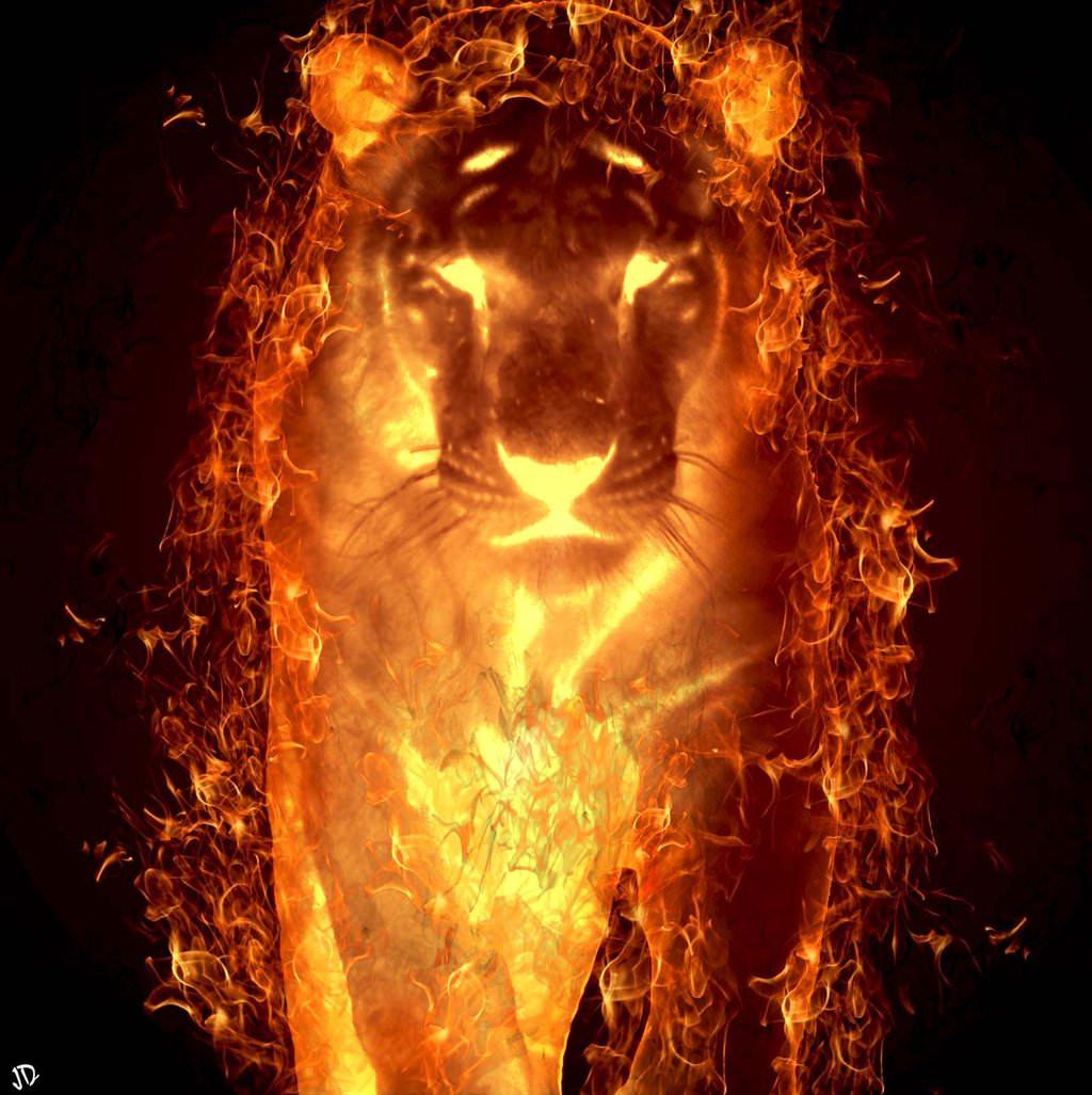 3d Fire Tiger Wallpaper