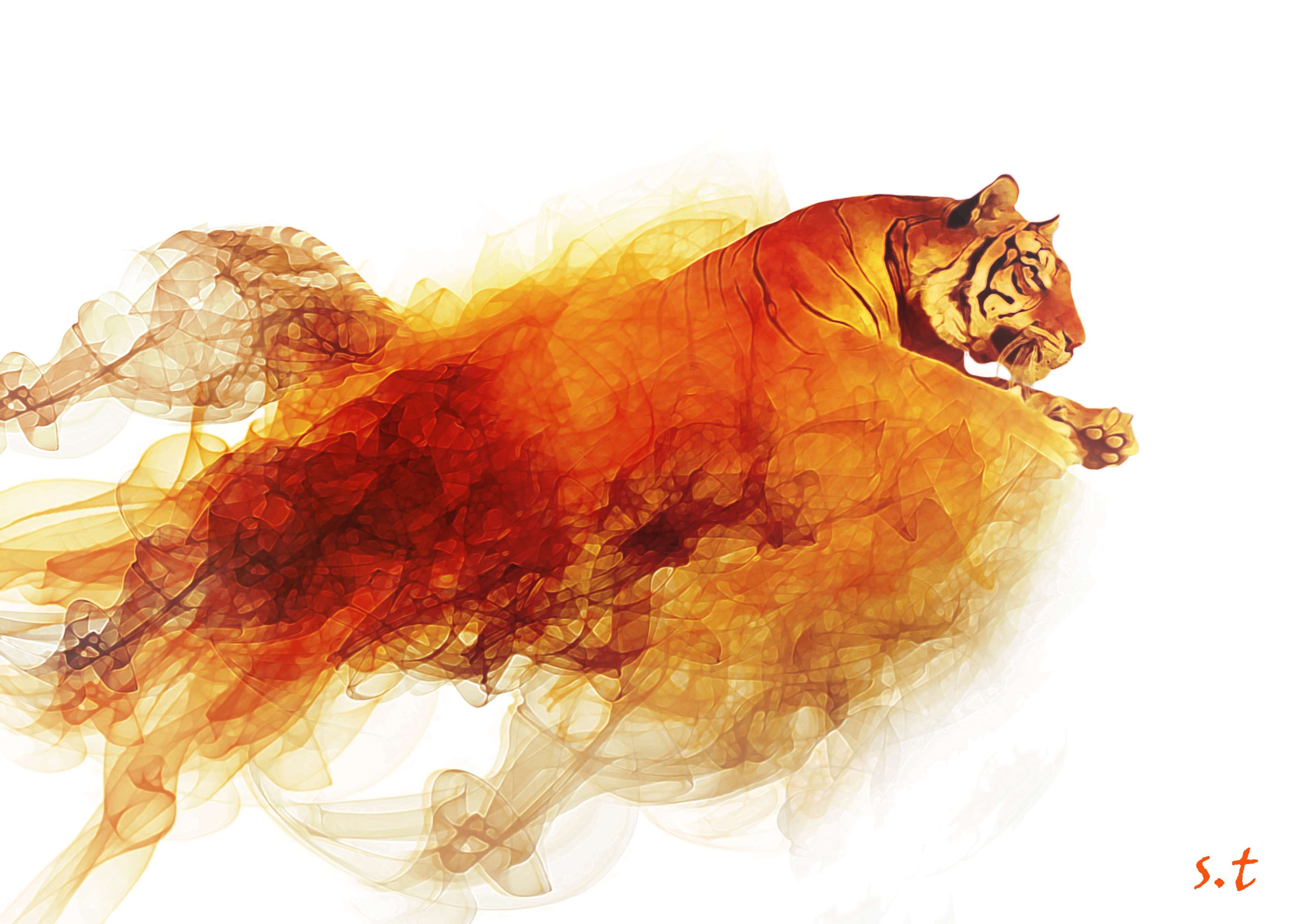 tiger on fire wallpaper and background