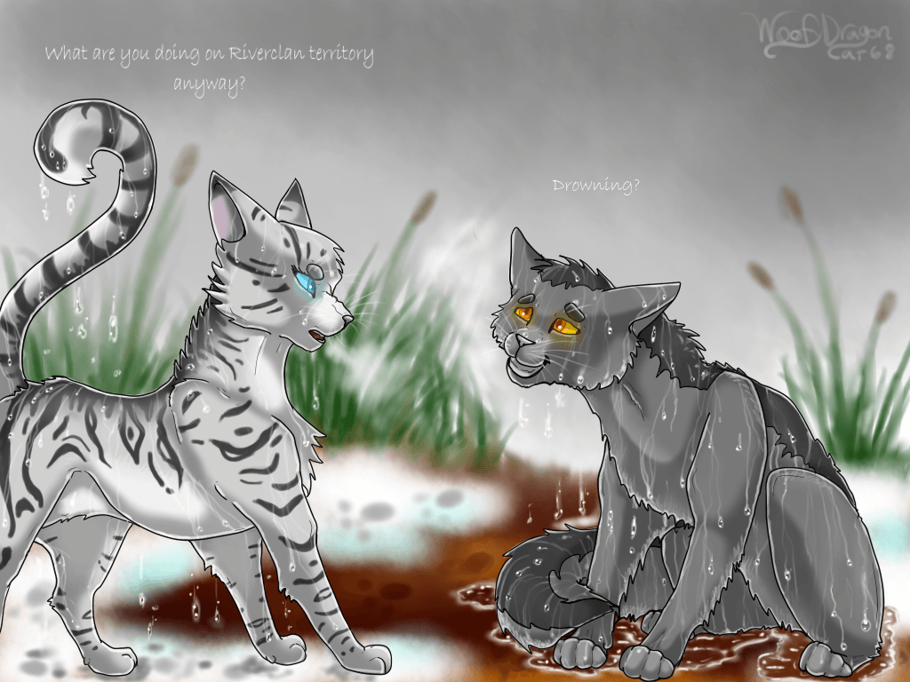 GRAYSTRIPE AND SILVERSTREAM