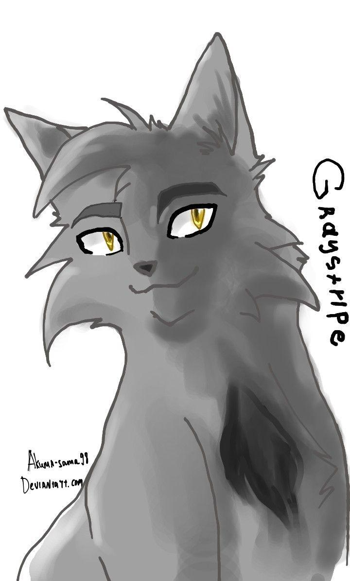 What Warrior Cat Is Your Soul Mate?