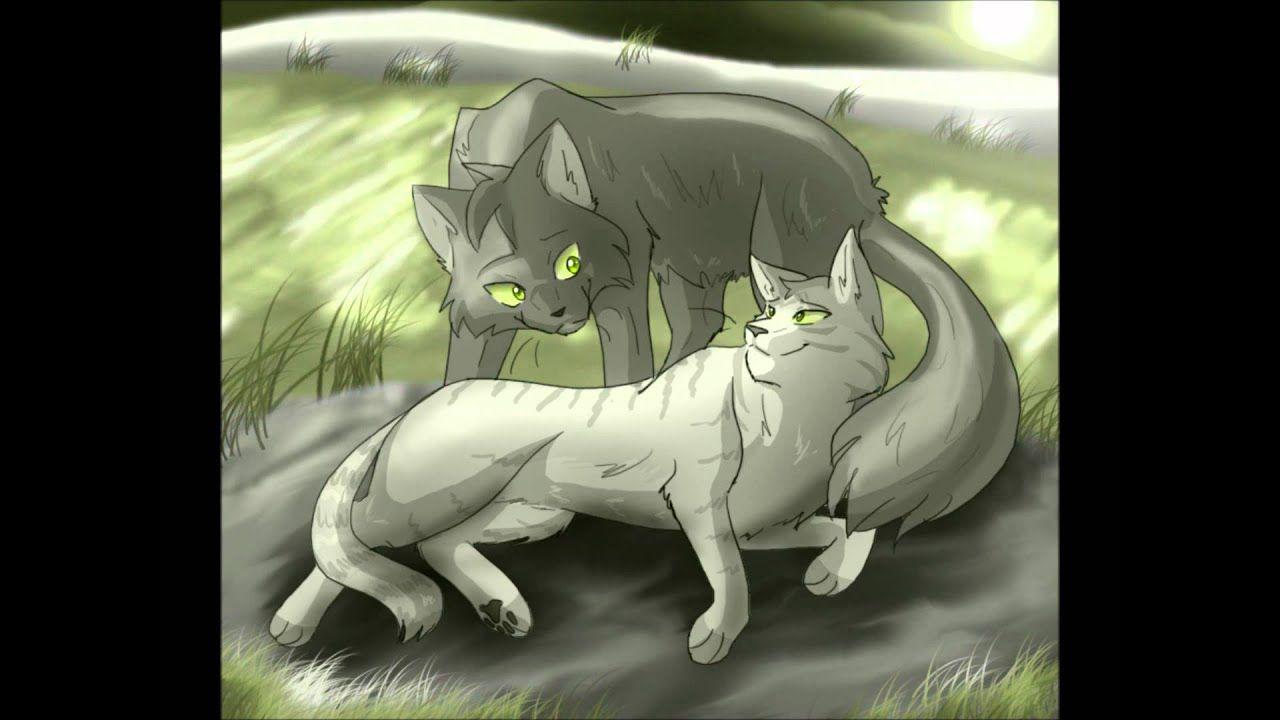 Warrior Cats Graystripe And Silverstream A Thousand Years. Amazing