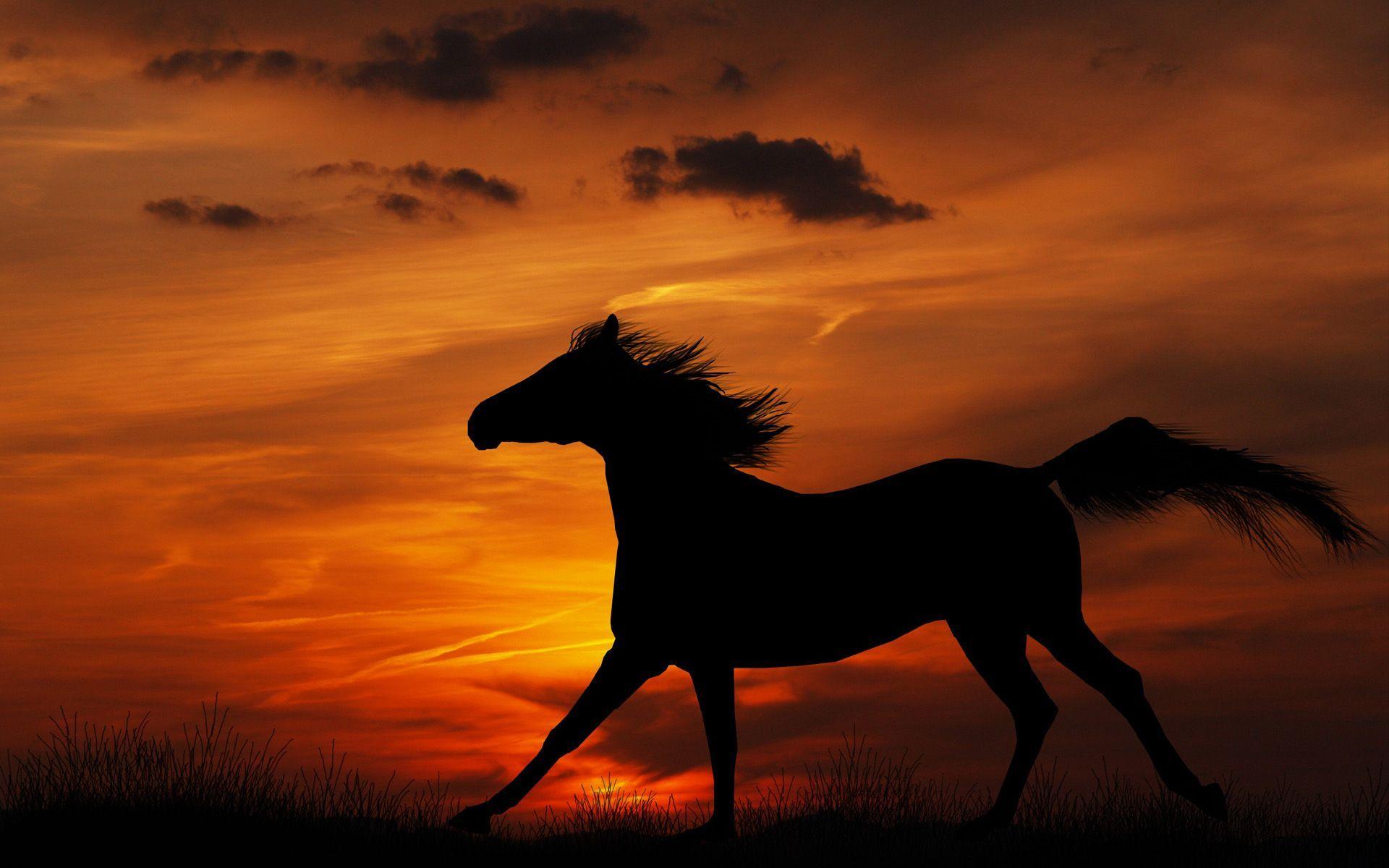 Horses At Sunset Wallpapers - Wallpaper Cave