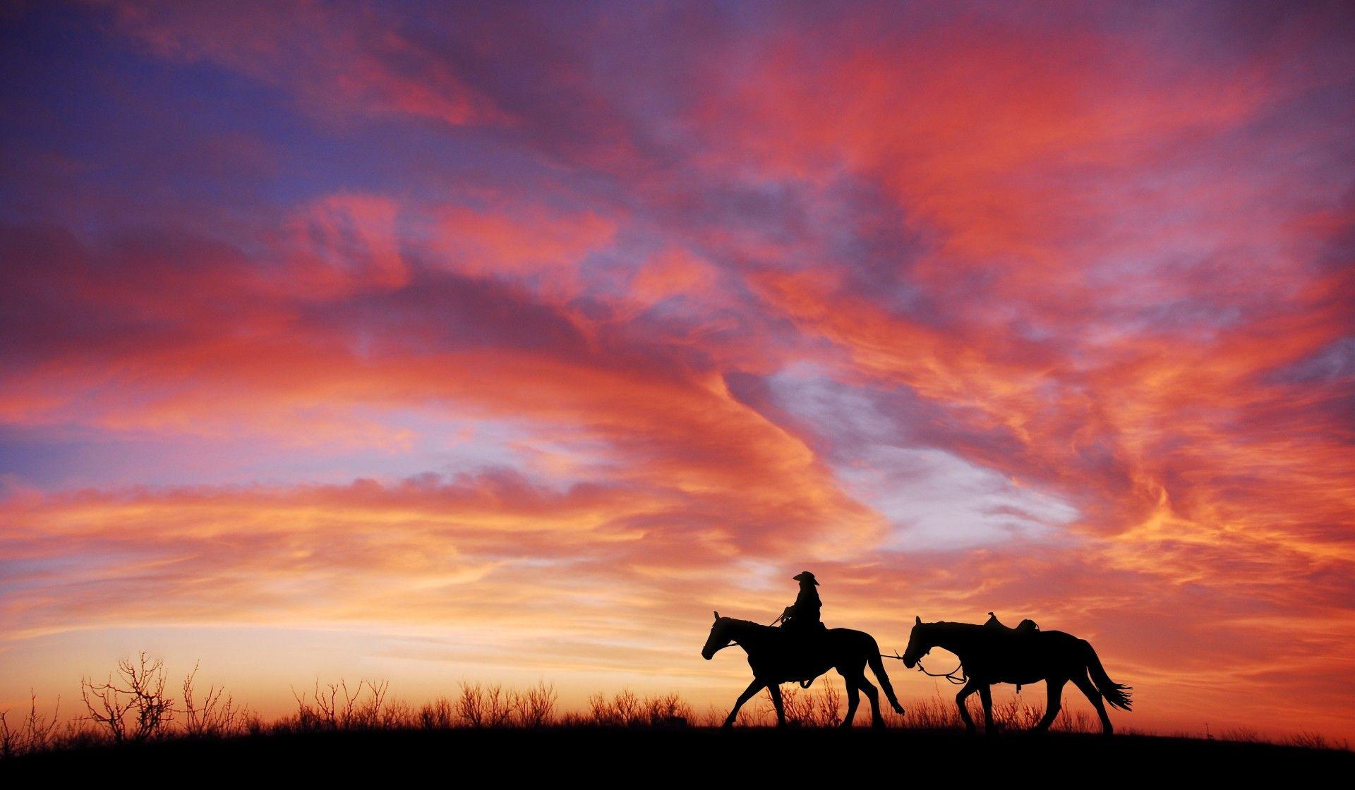 Download 1920x1120 Cowboy, Sunset, Sky, Field, Horses Wallpaper