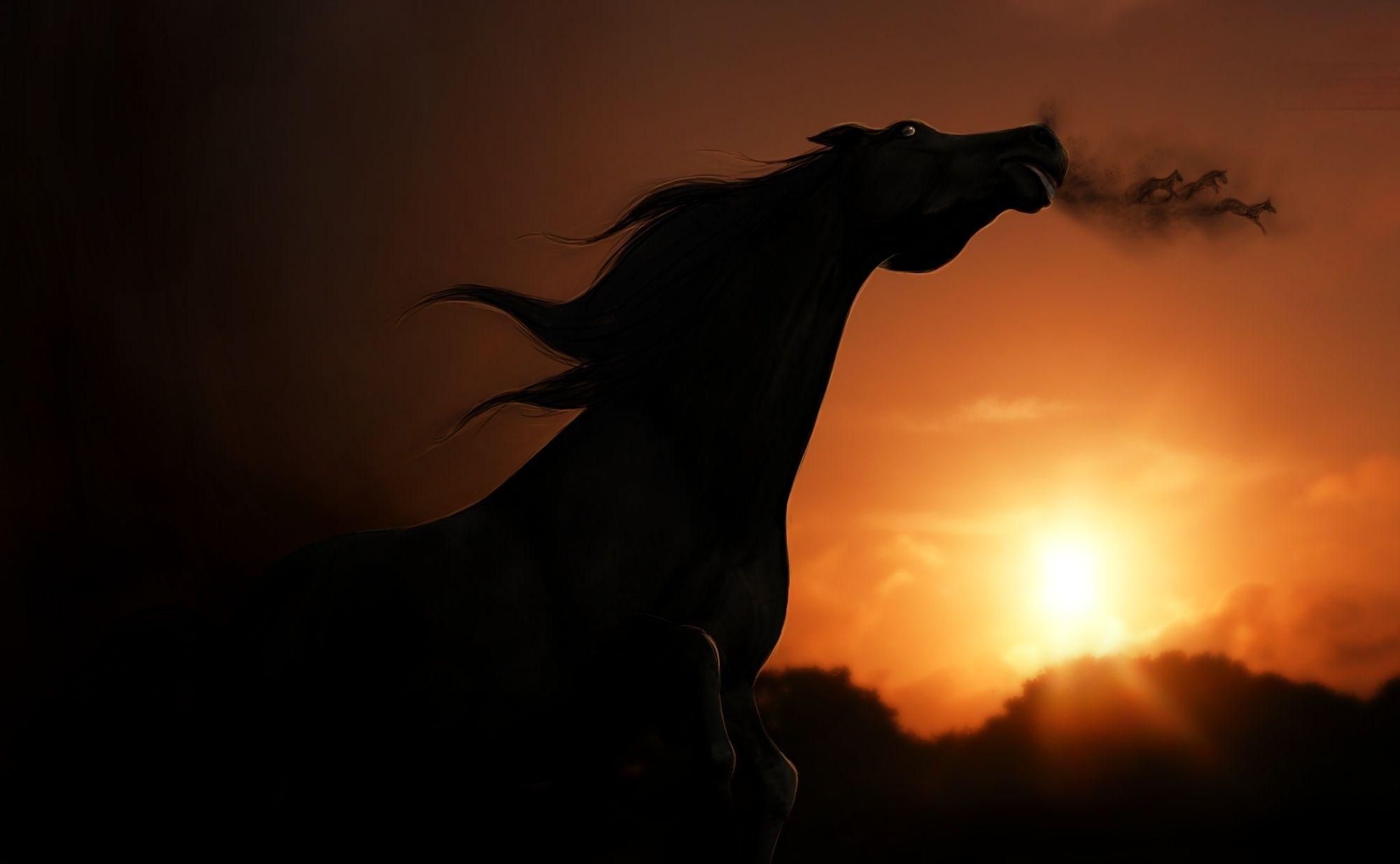 White Horses Running In Time Of Sunset Digitally Printed Wallpaper   DecorGlance