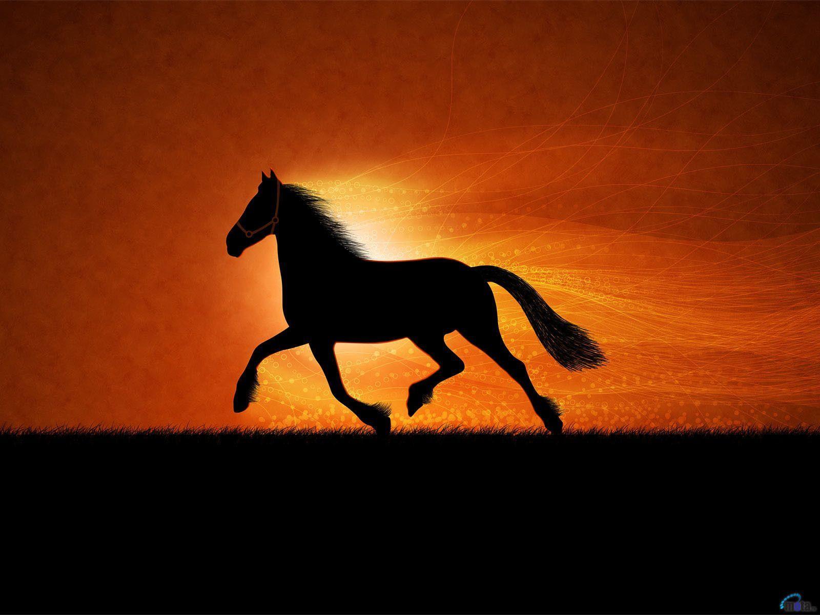 Freedom. Horse wallpaper, Horse silhouette, Horse background