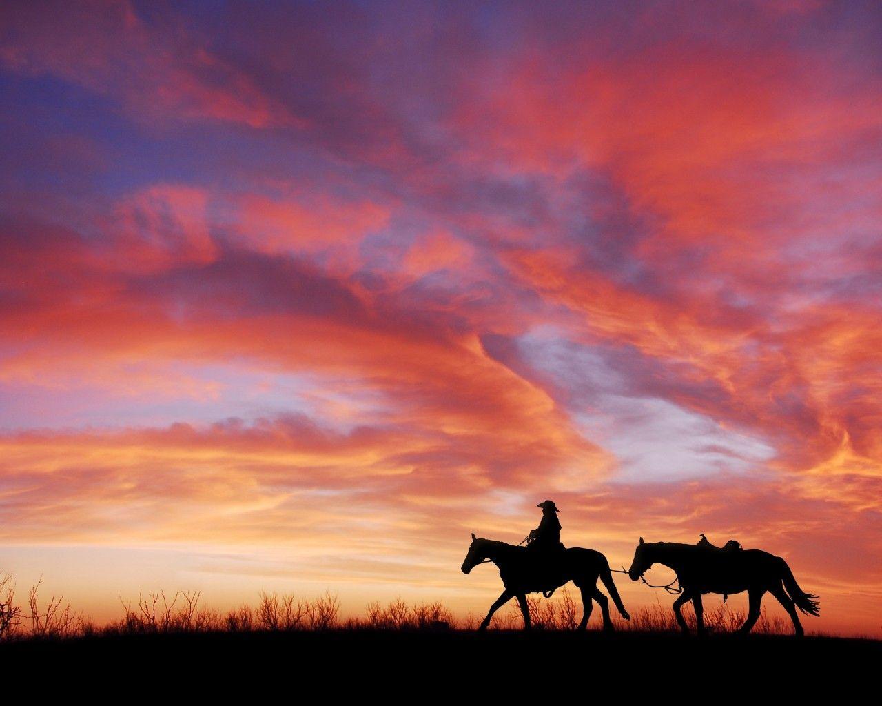 Horses At Sunset Wallpapers - Wallpaper Cave