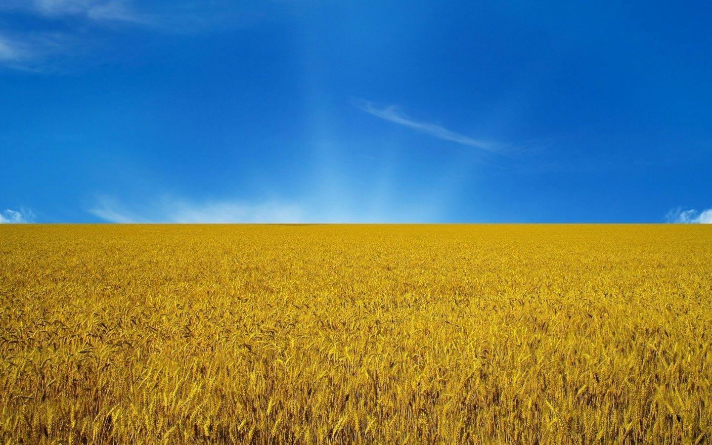 Ukraine Flag. Ukraine, flag, sky, flag 110612 zeusbox com. Ukraine