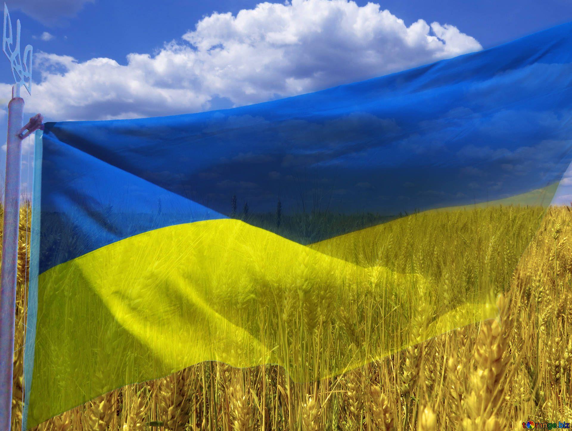 Ukraine Flag № 33620
