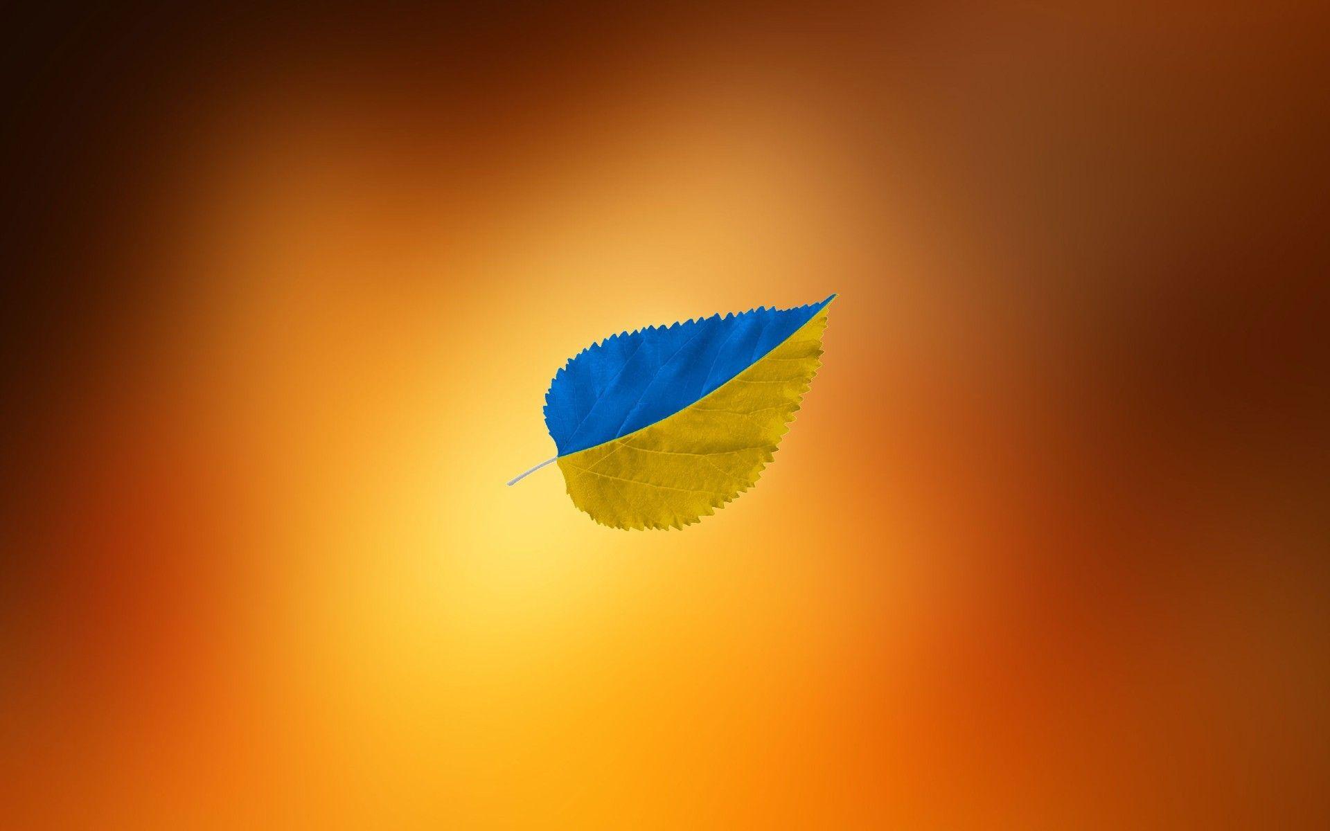 A piece of wood with the colors of the Ukrainian flag. Android