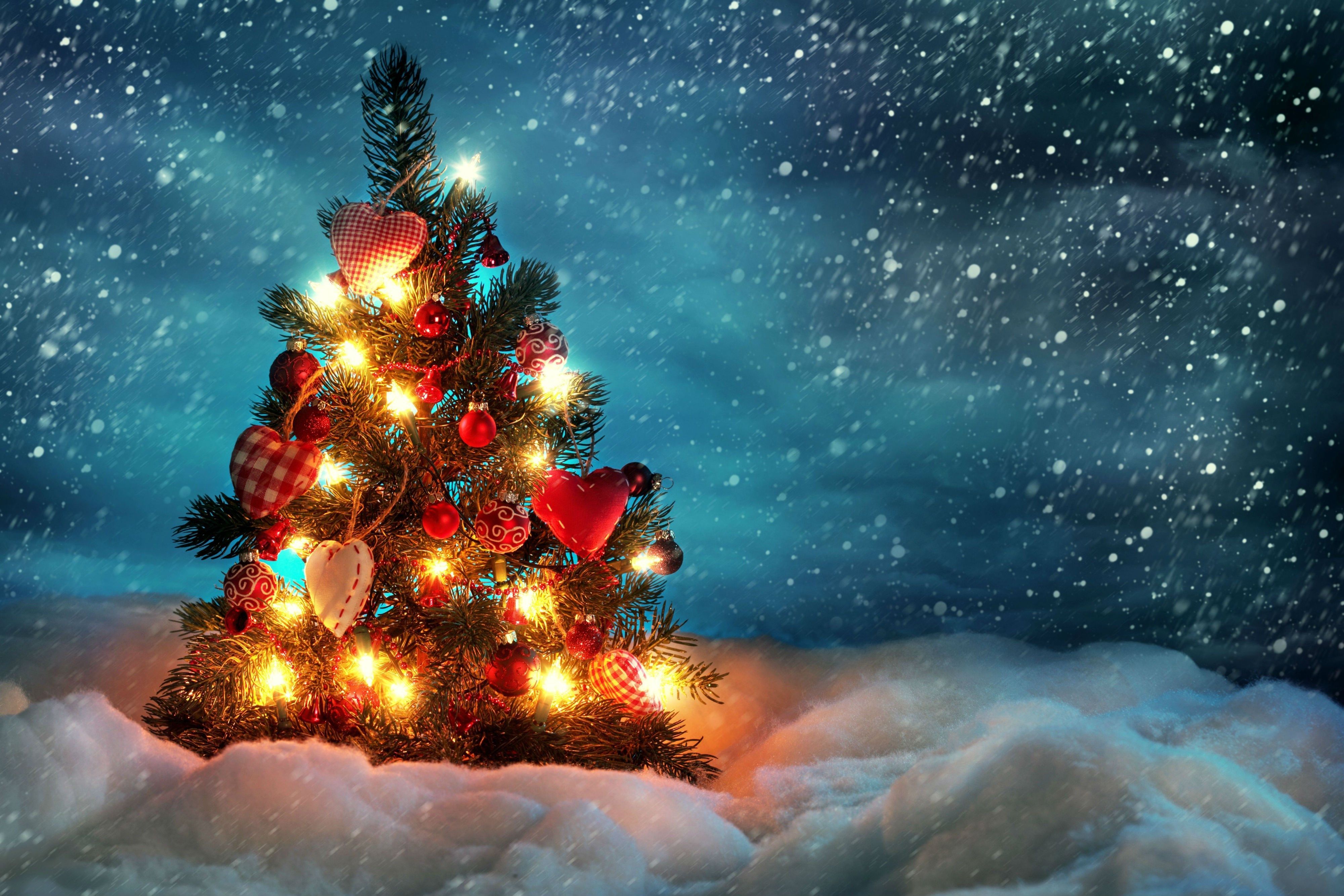 free high resolution wallpaper christmas, 4000x2667 1564 kB