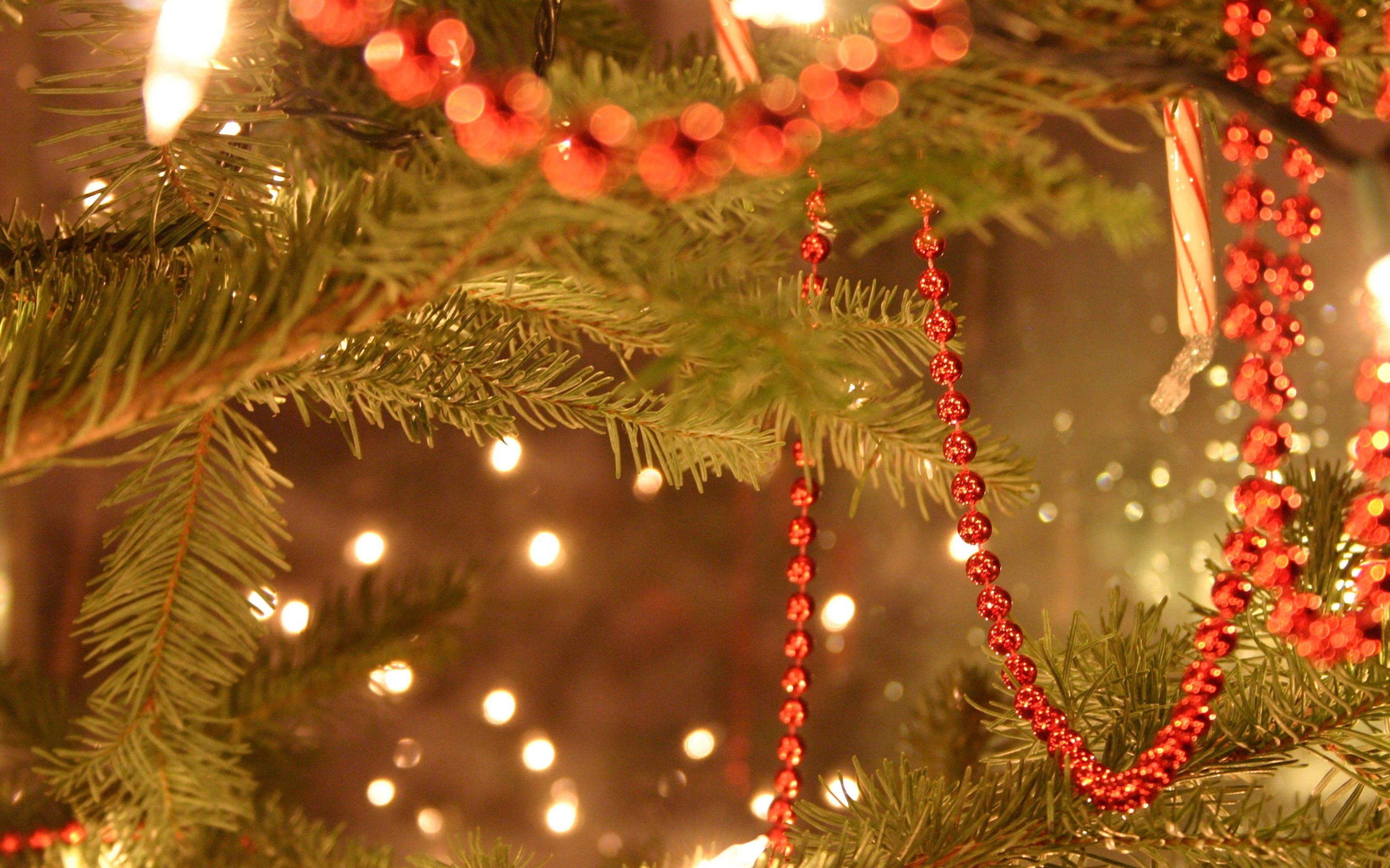 green leafed spruce and red beaded christmas tinsel free image