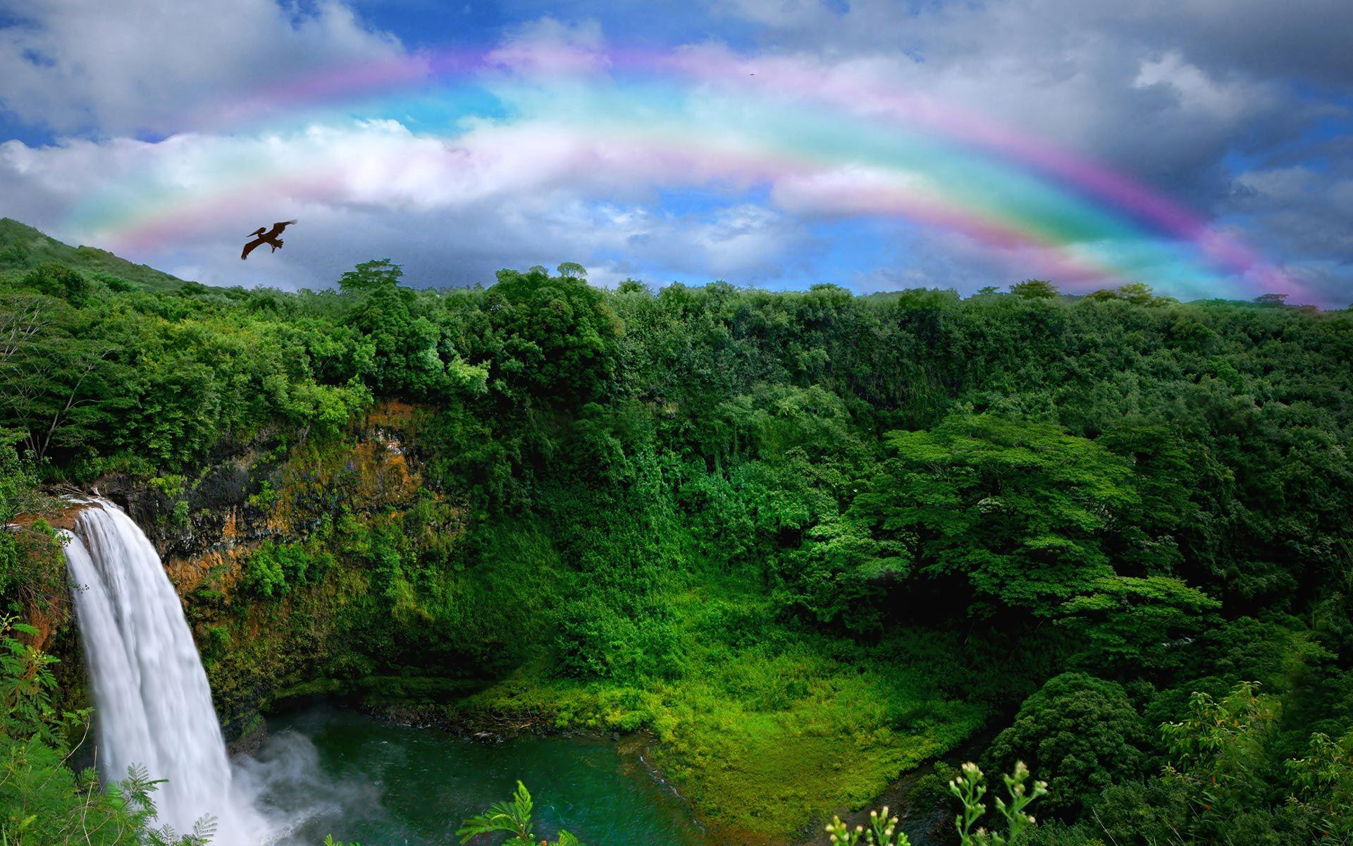 Rainbow Waterfall Wallpapers - Top Free Rainbow Waterfall Backgrounds -  WallpaperAccess