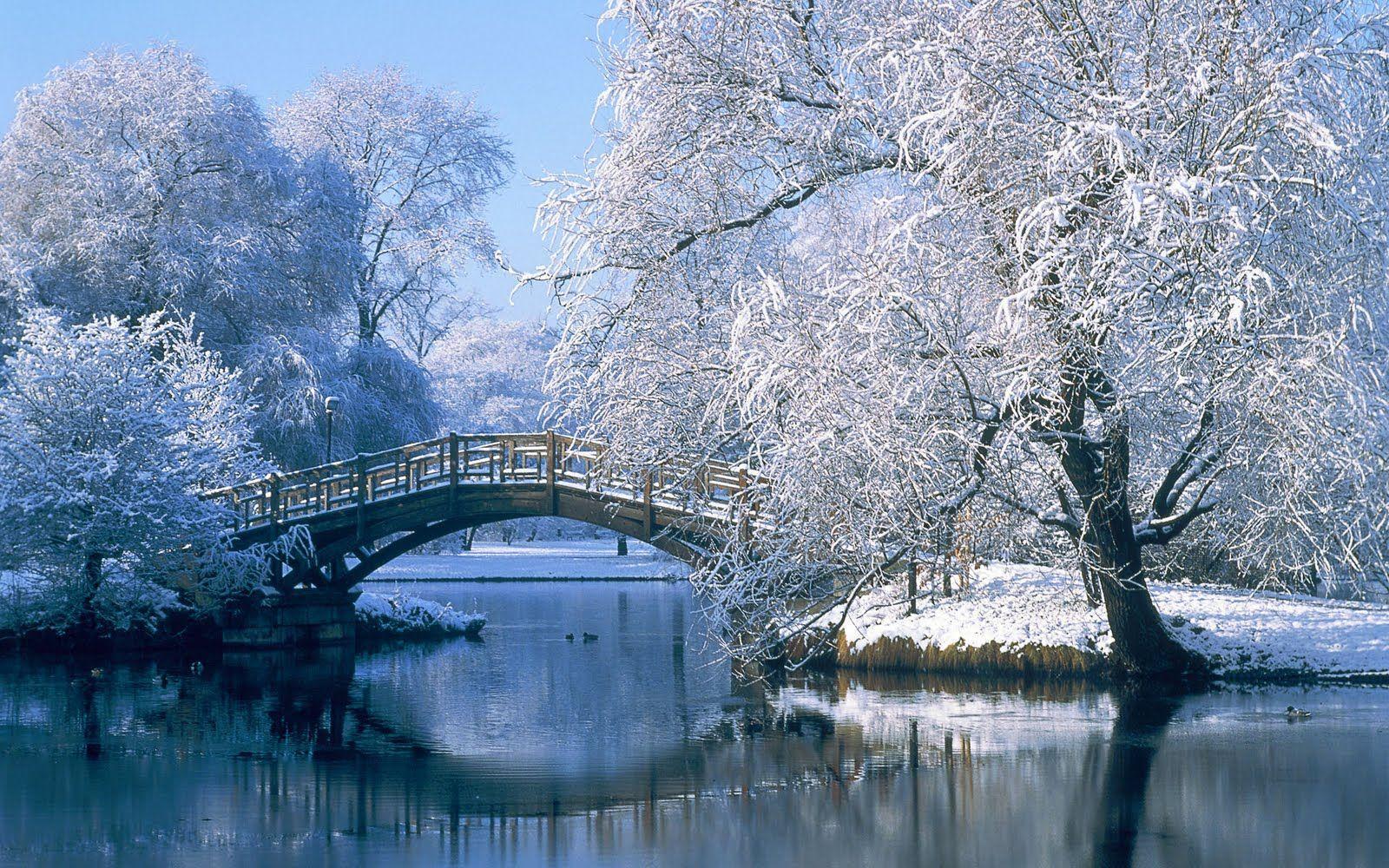 Brug in de winter. Winter scenery, Winter landscape, Winter picture