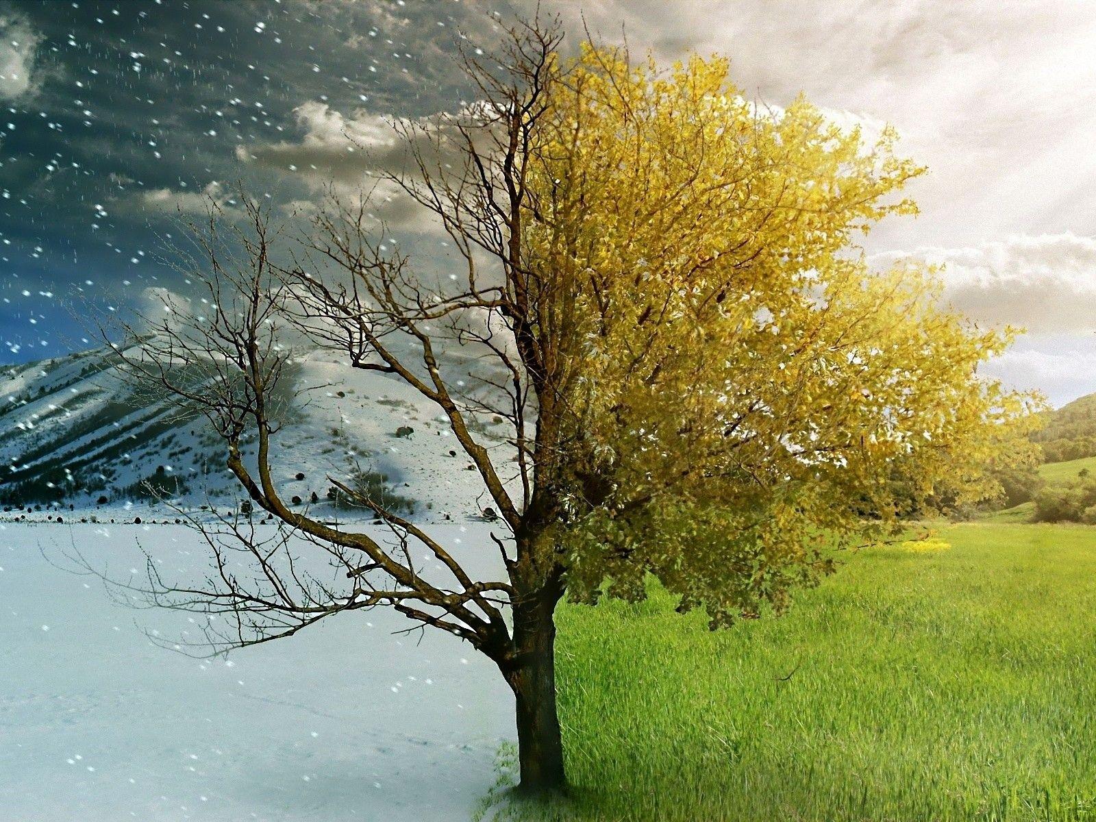 La magia del solsticio ha llegado!!. Conciencia Cósmica