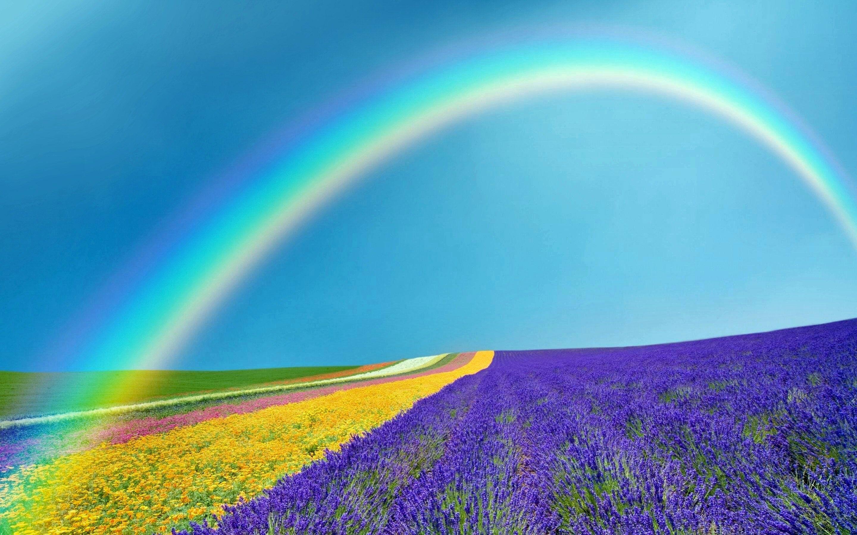 Download Earth Spring Nature Horizon Field Rainbow Sunny HD Wallpaper