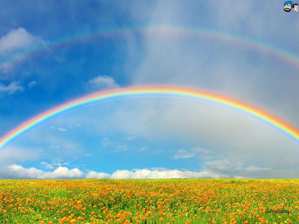 Free Download Rainbows HD Wallpaper