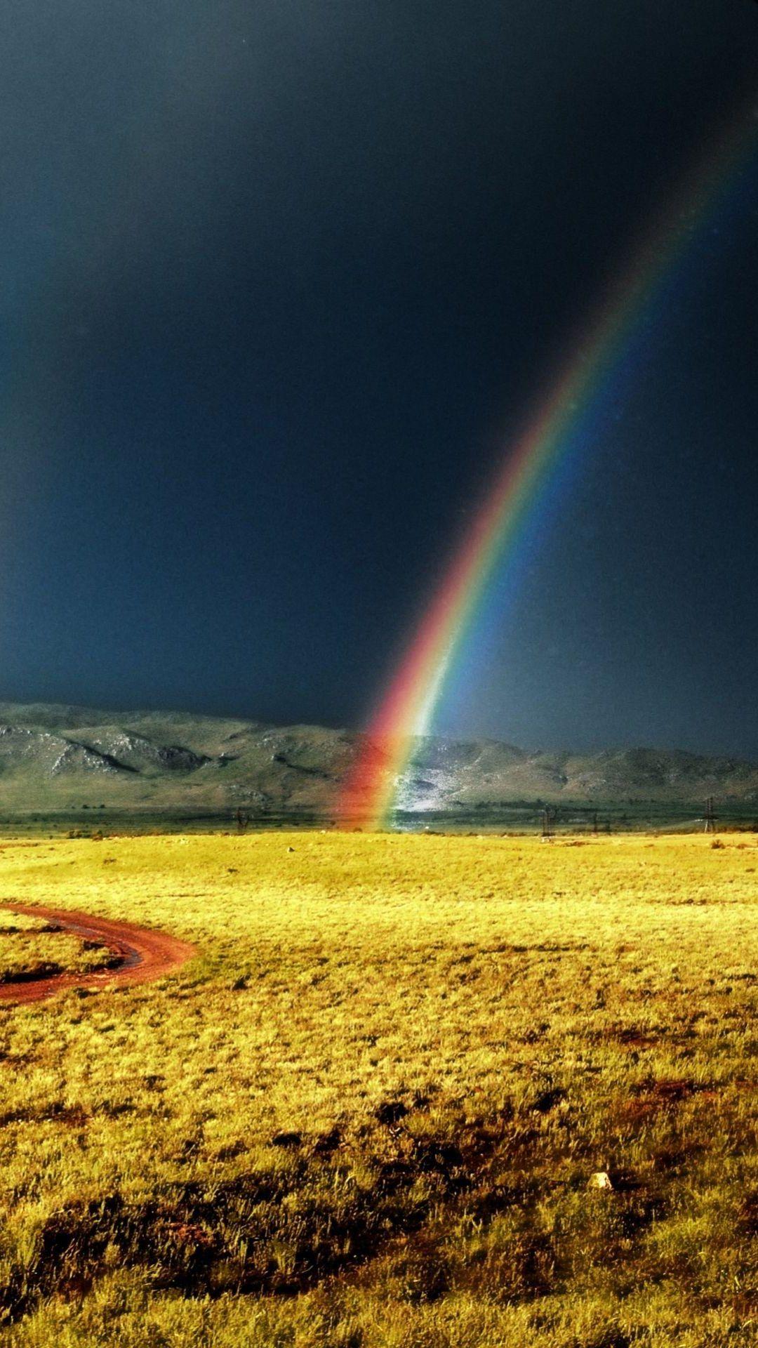 Rainbow After Storm Yellow Field iPhone 6 Plus HD Wallpaper HD