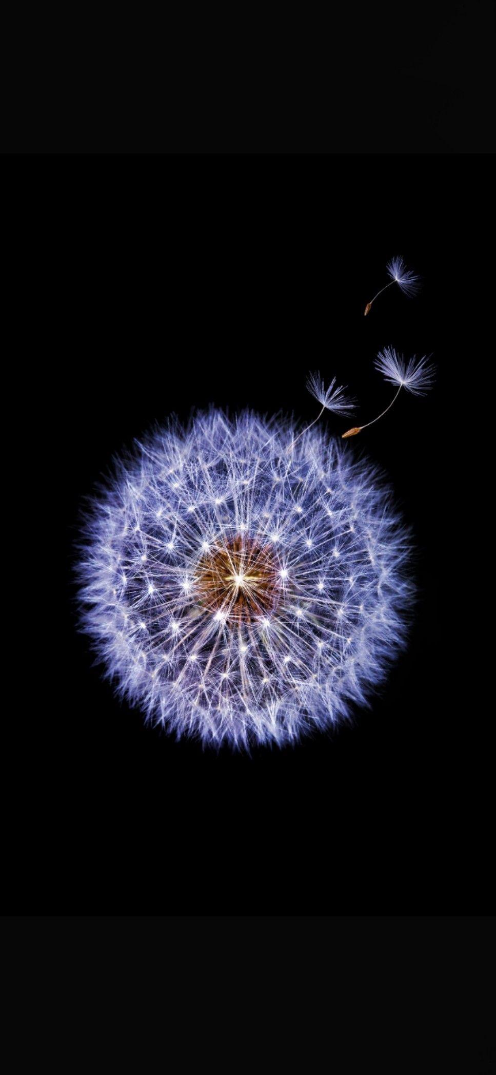 iPhone wallpaper. Wallpaper