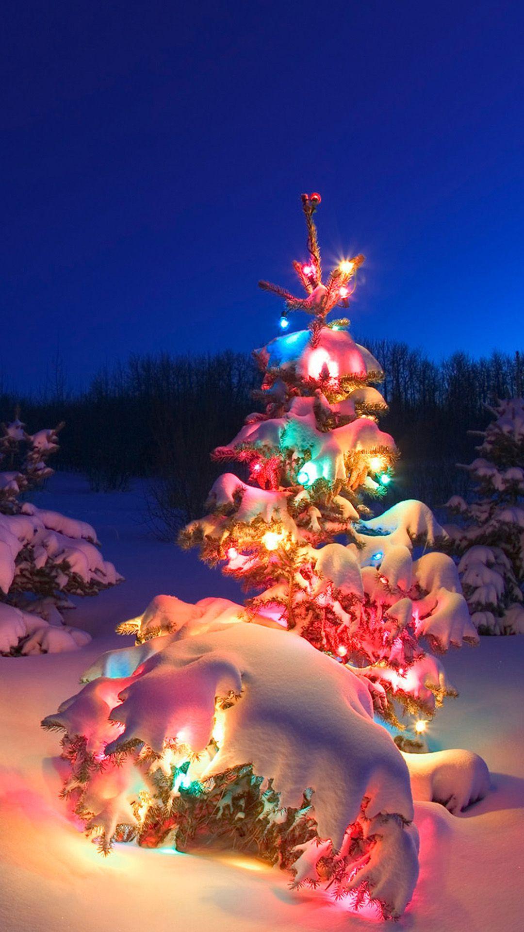Samsung Galaxy S5 Wallpaper. Christmas lights wallpaper, Christmas tree photography, Christmas scenes