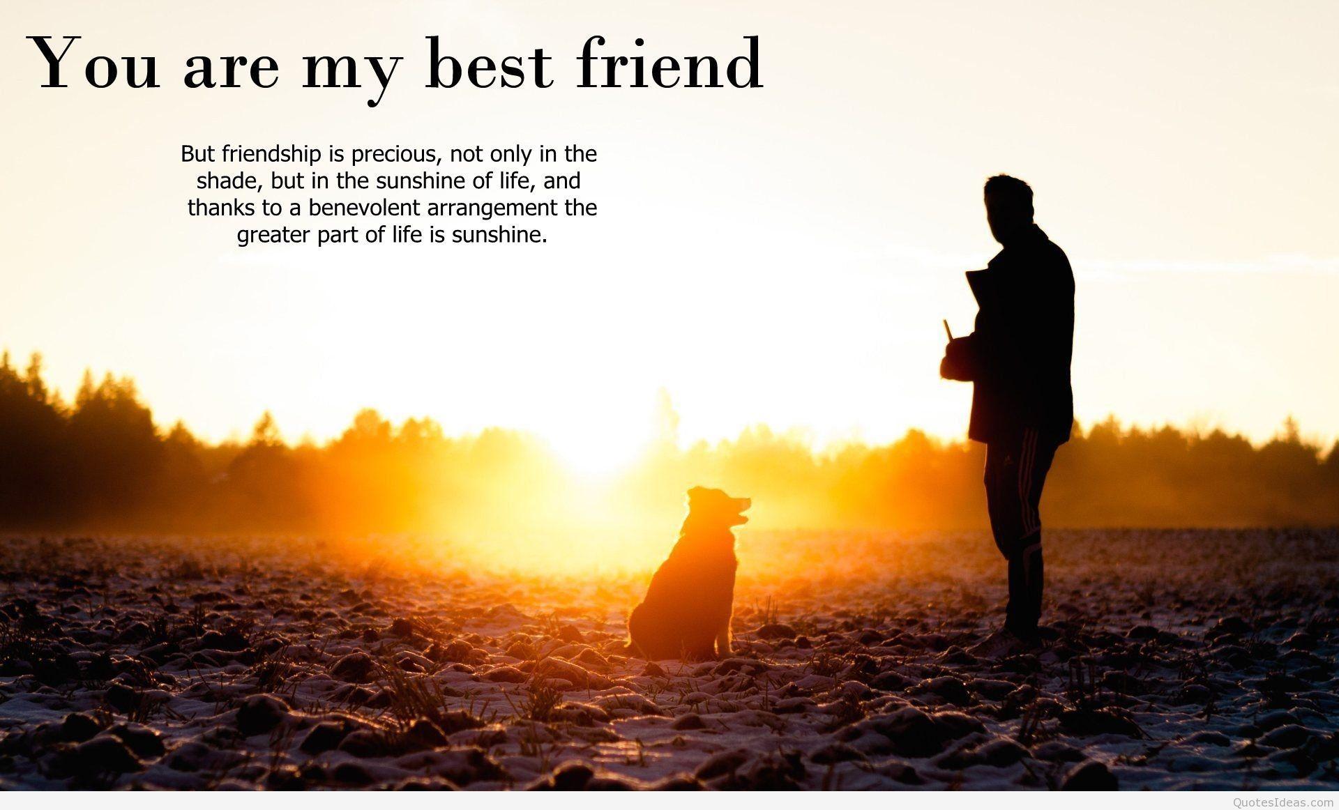 Best friends quotes and friendship quotes on wallpaper