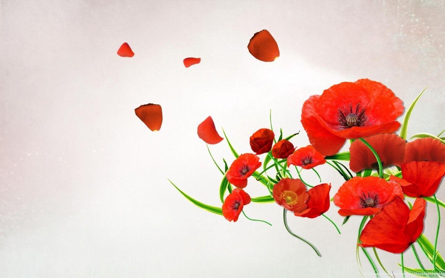 Poppy Flower Wallpaper Download Of Red Poppy Flowers Desktop Background
