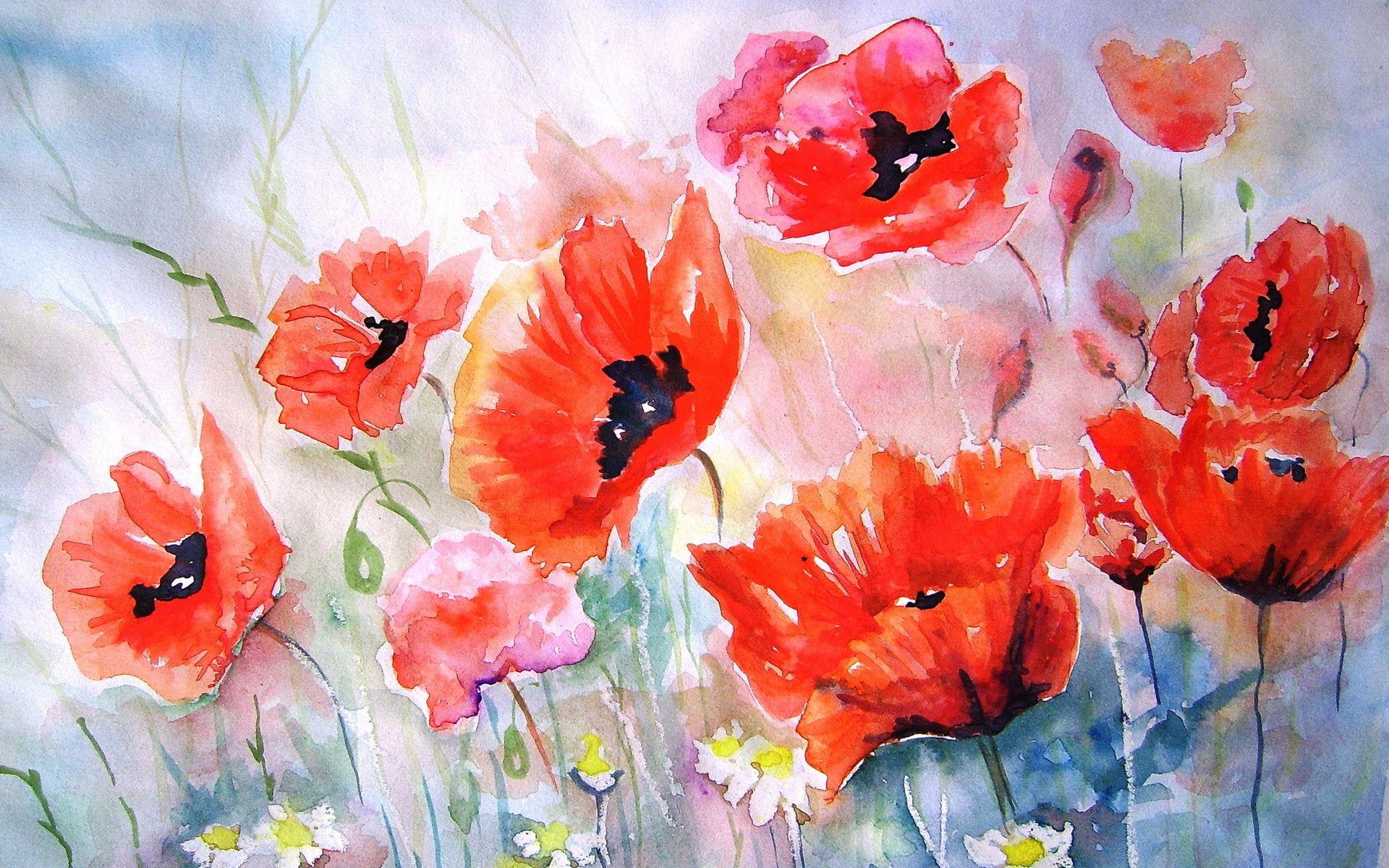 Poppies flower art painting bokeh wallpaperx1200