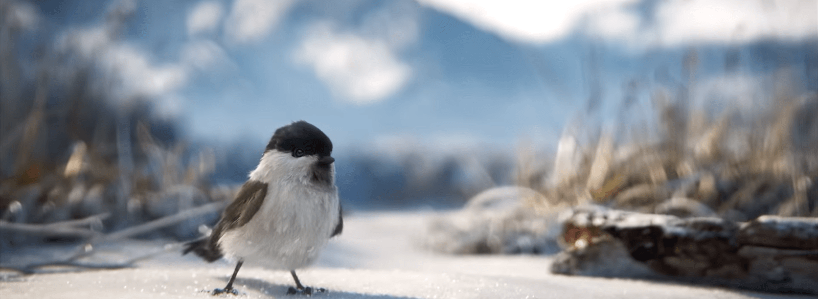 Vikendi Live! (Update Patch Notes)'S