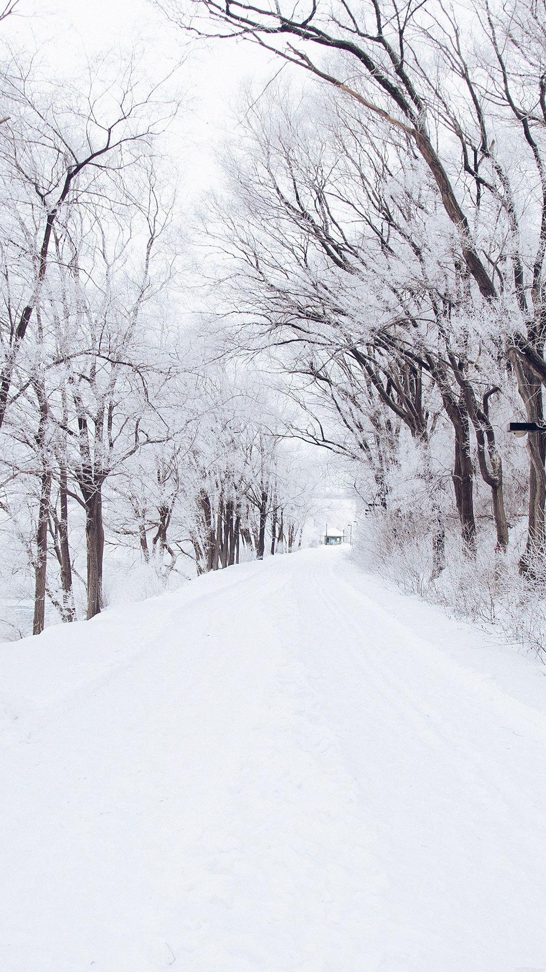 Winter Road Romantic Nature Snow White iPhone 6 Wallpapers Download