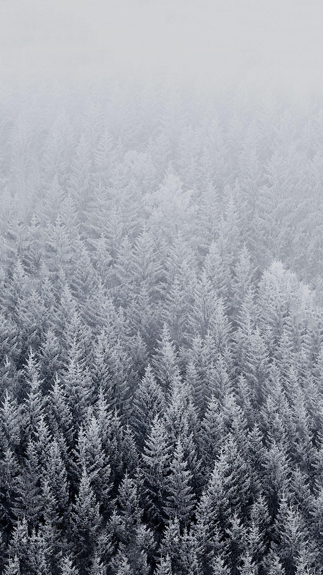 HD Winter Background for iPhone. iPhone wallpaper winter, Ios wallpaper, Winter wallpaper