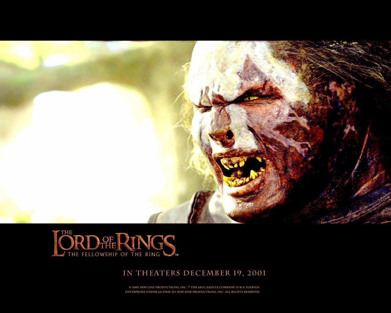 The Lord Of The Rings: The Fellowship Of The Ring wallpaper