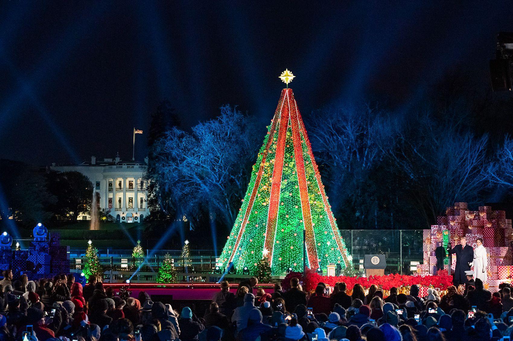 National Christmas Tree (United States)