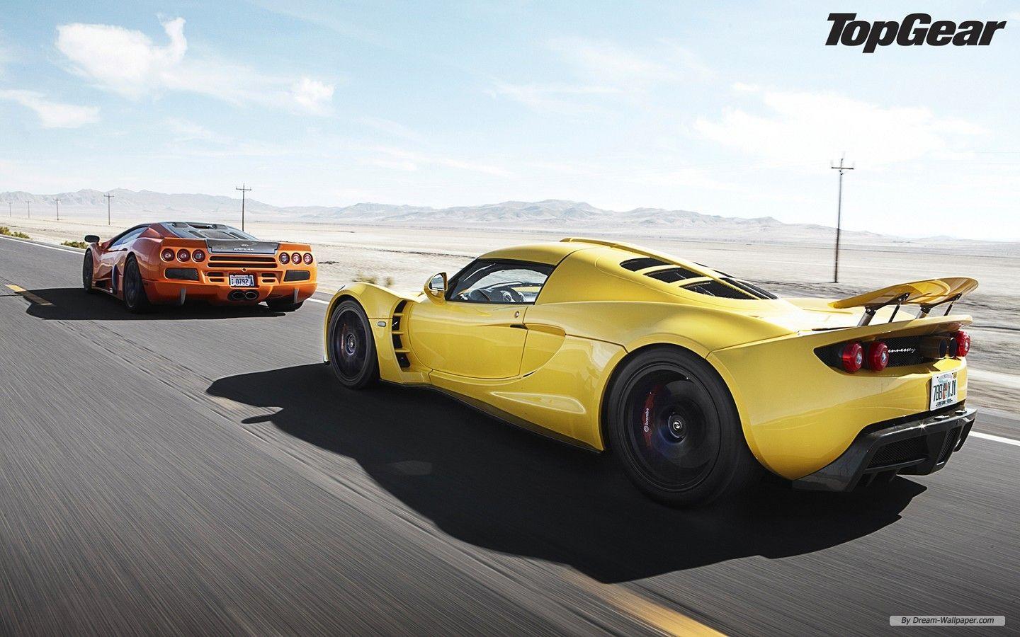 Free Wallpaper Auto wallpaper Tuatara wallpaper