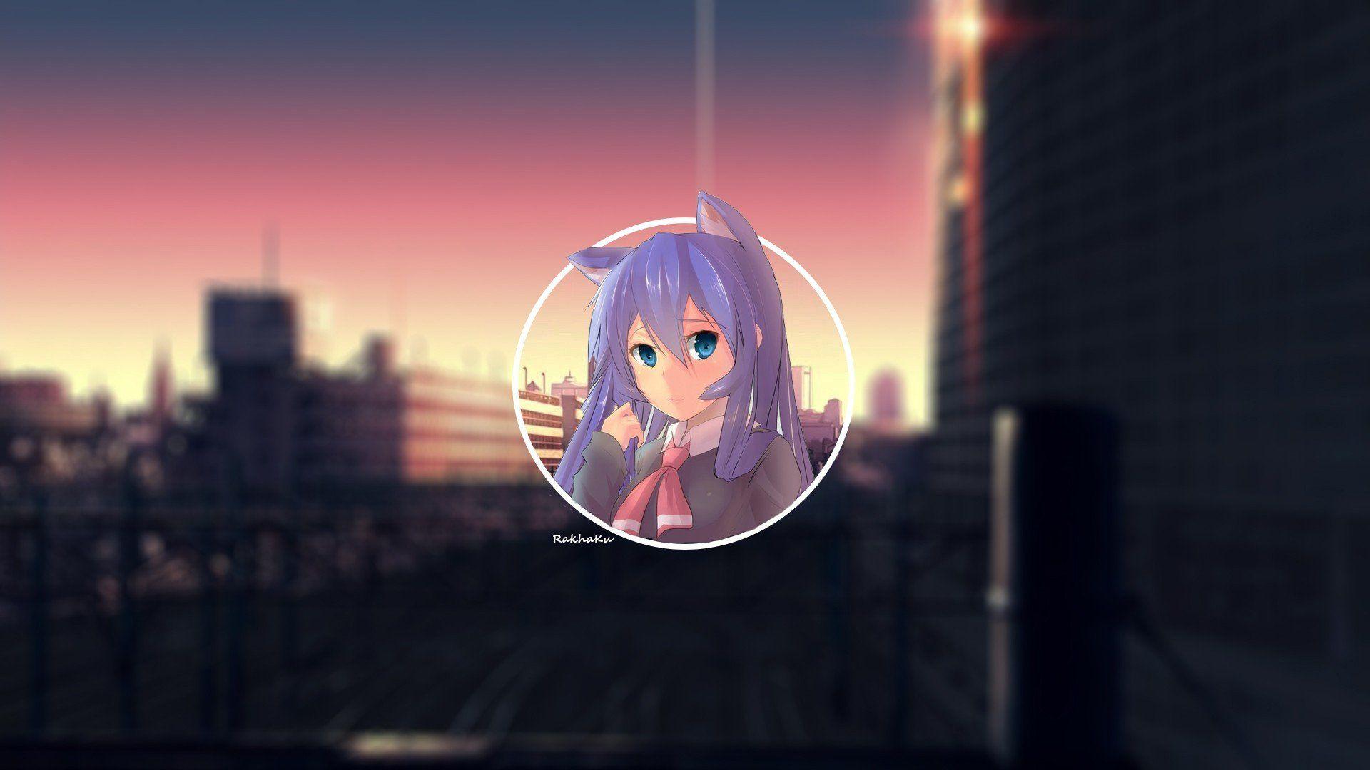 cat girl purple hair school city cat ears anime girls anime acchi