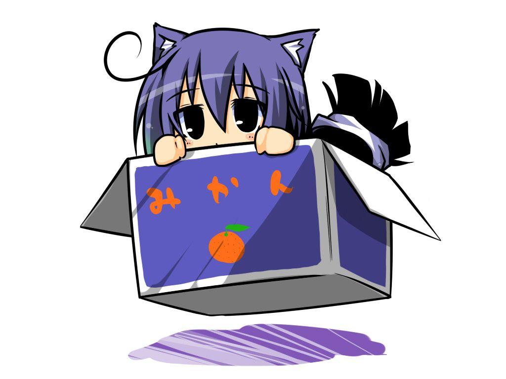 image of Image Acchi Kocchi - #CALTO