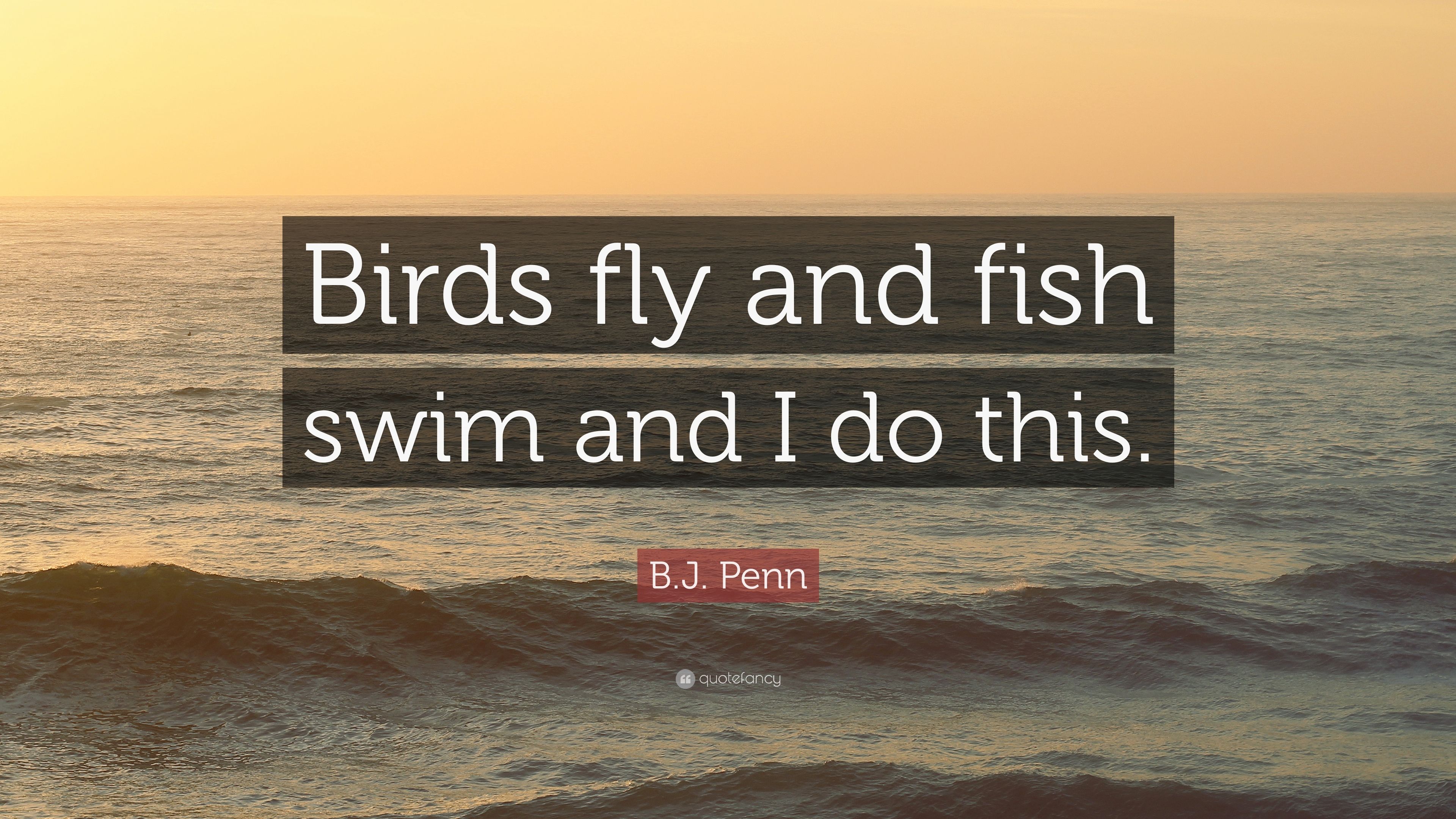 B.J. Penn Quote: “Birds fly and fish swim and I do this.” 7