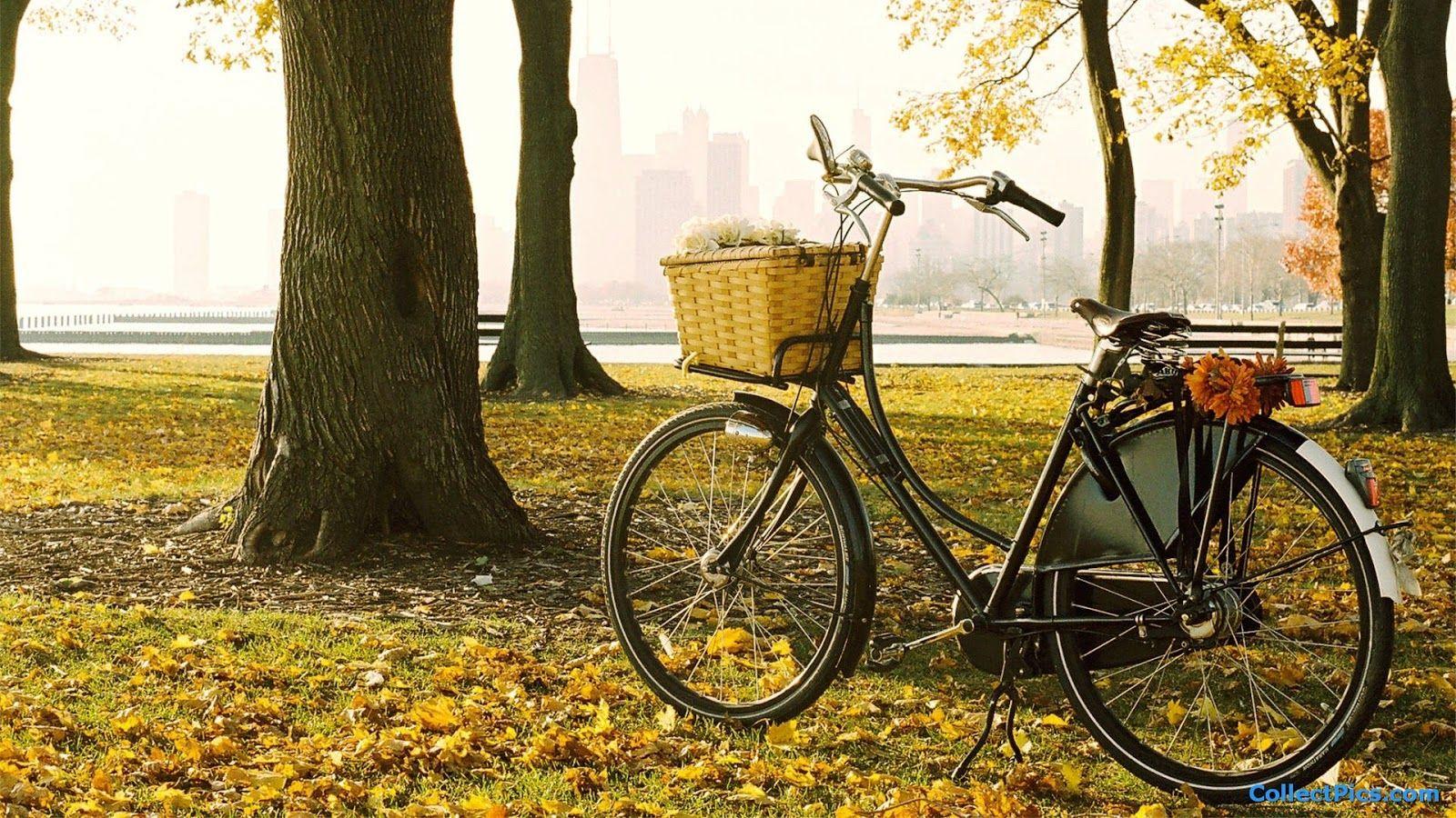 IMAGENSNET: WALLPAPER BICICLETAS