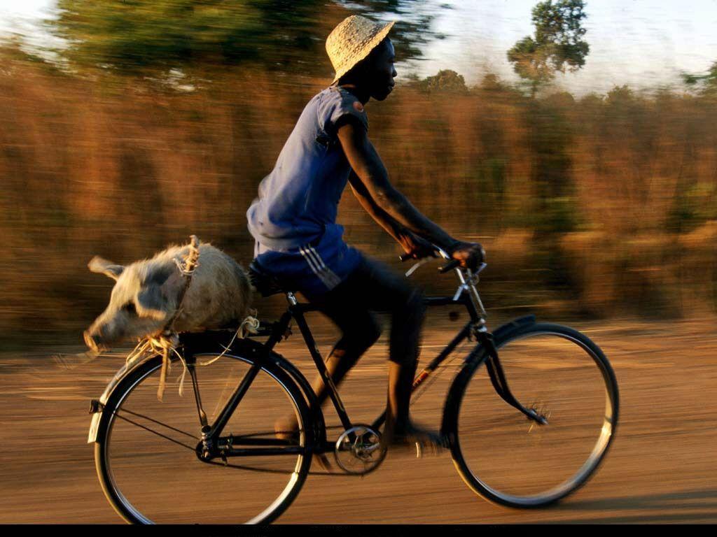 Plimbare cu bicicleta