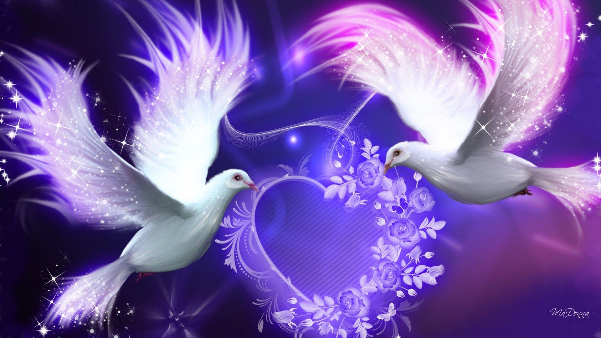 Dove With Heart Wallpapers - Wallpaper Cave