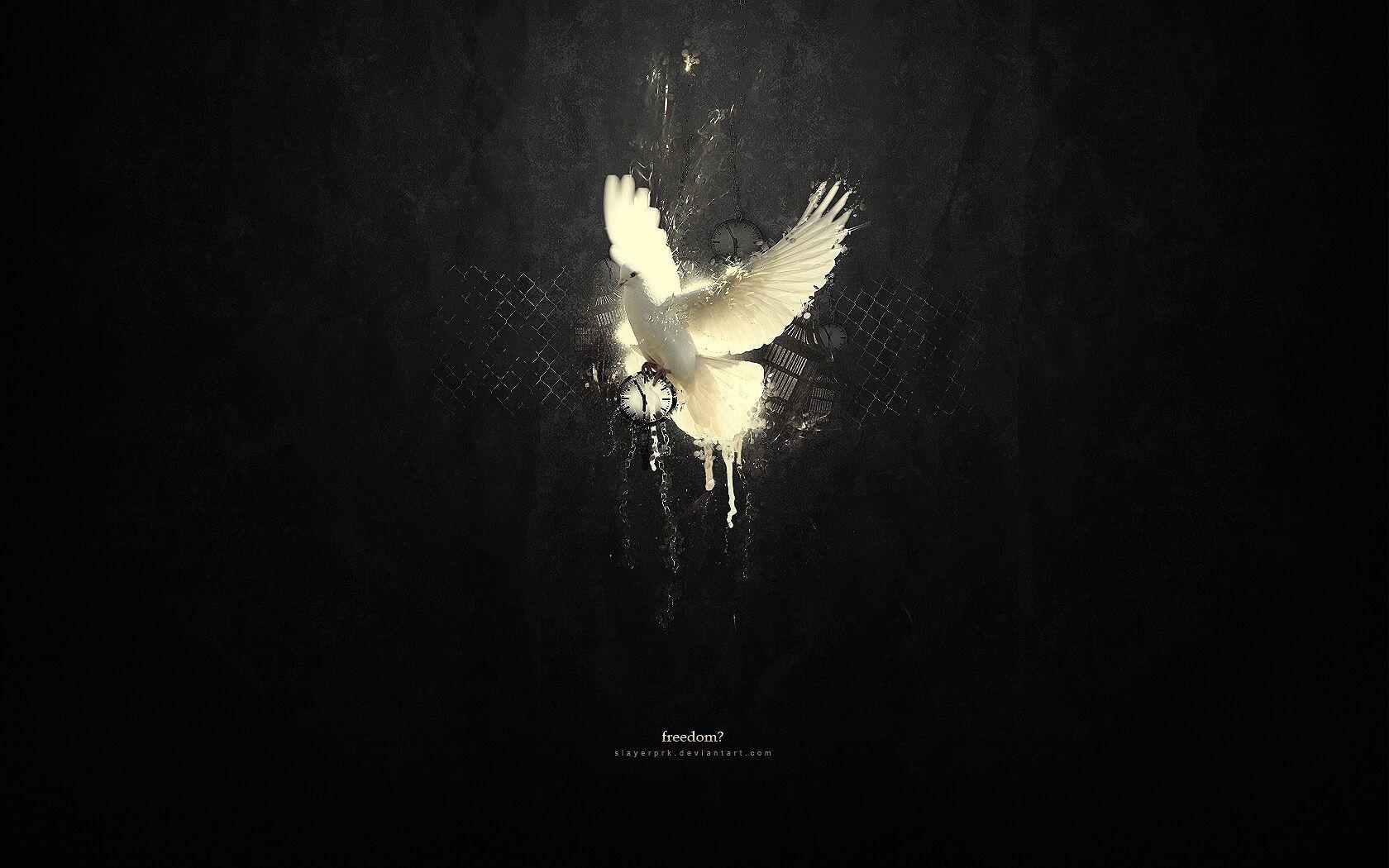 Freedom Abstract HD Wallpaper