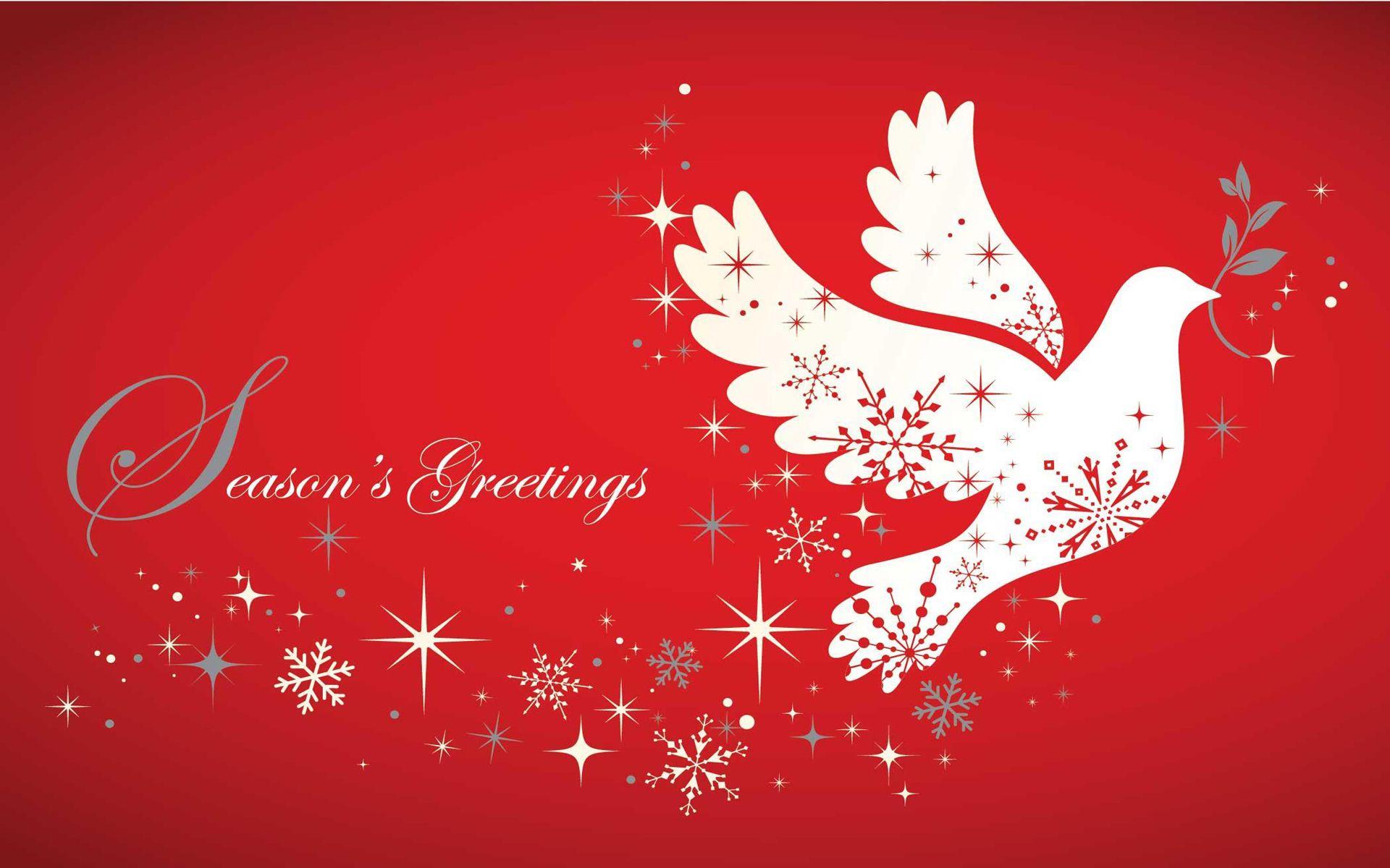 Dove Christmas Picture HD Wallpaper, Wallpaper13.com
