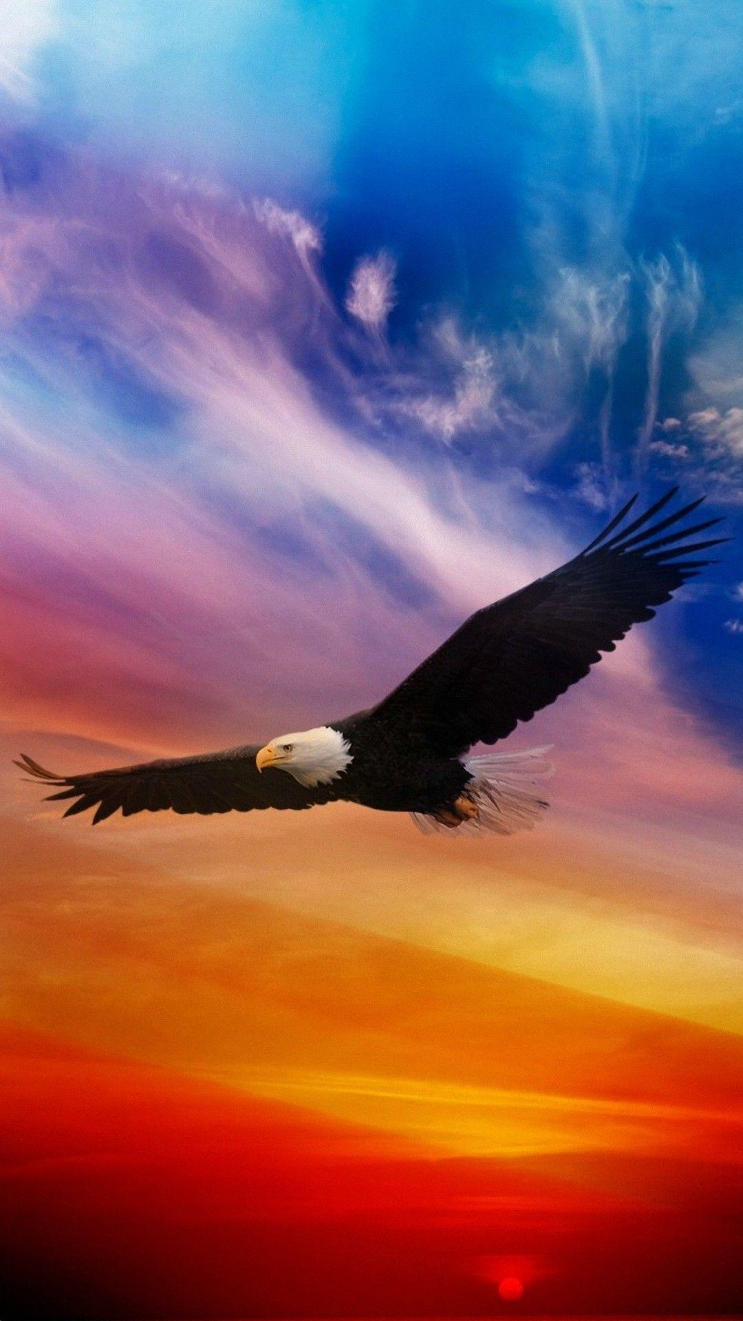 Eagle Wallpaper iPhone HD iPhone Wallpaper. Eagle wallpaper, Bald eagle, Animals