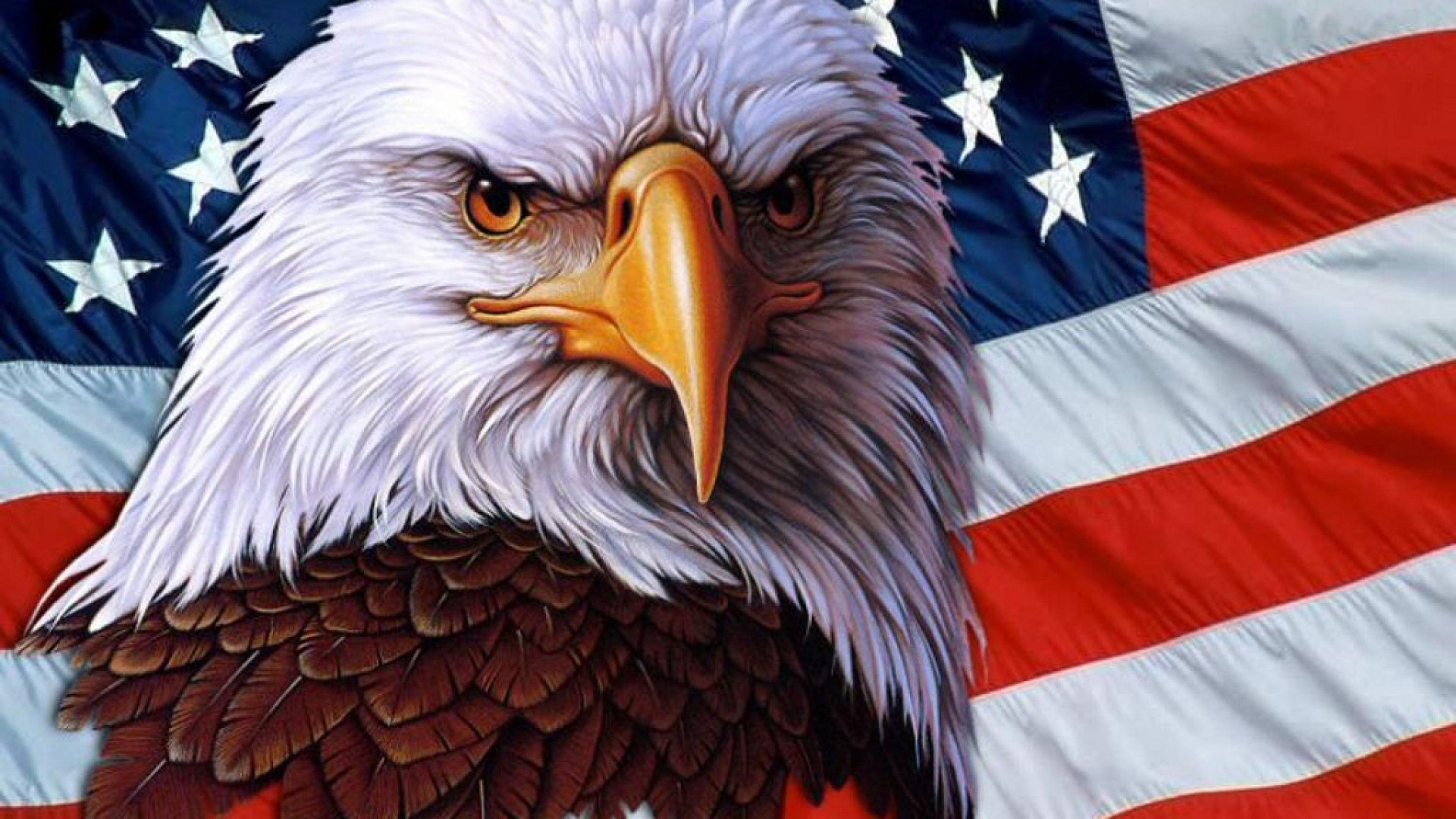 The American Eagle Wallpapers Wallpaper Cave