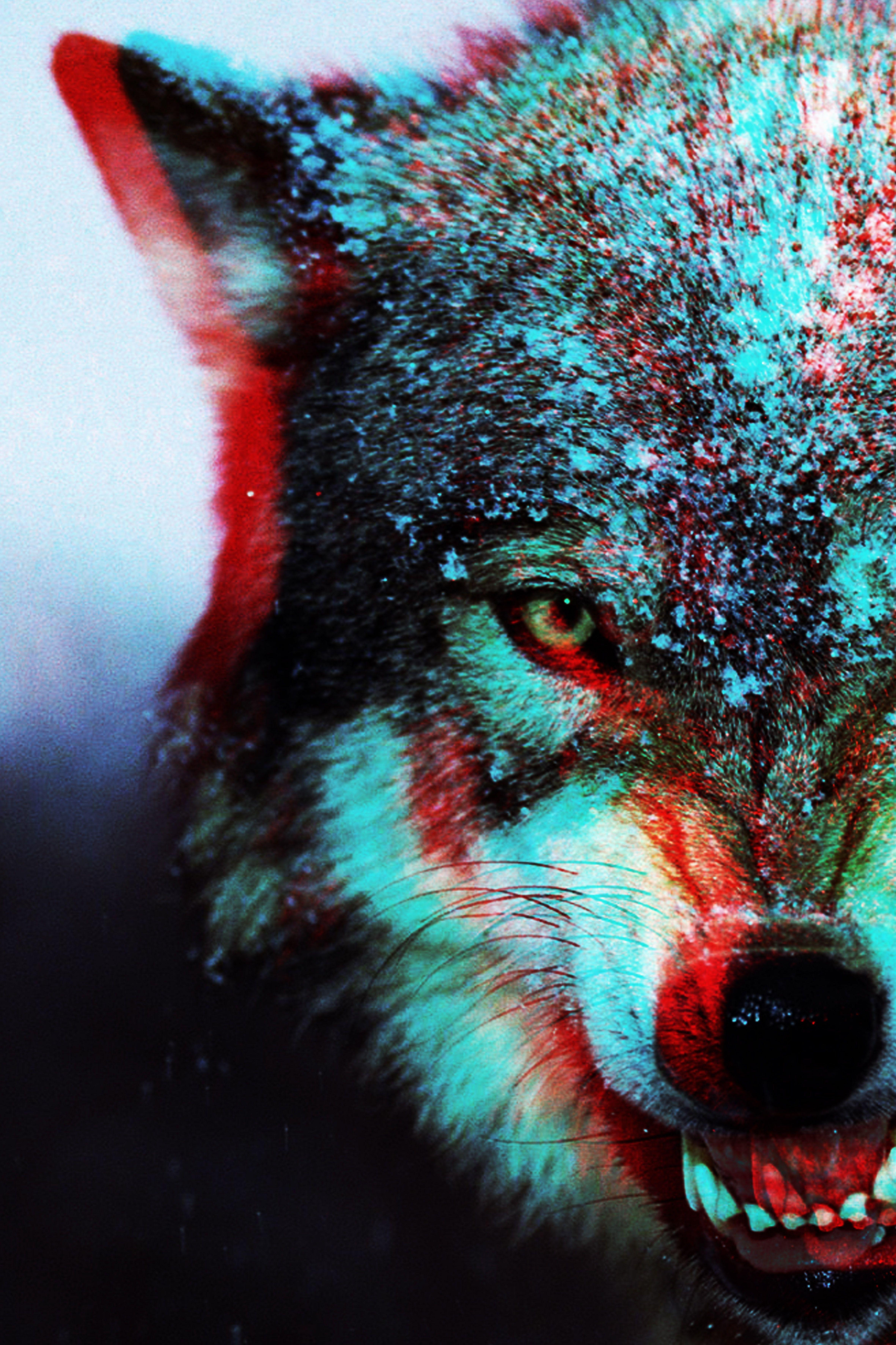 wolf. killer. lover. De Los Muertos. Wolf, Beautiful