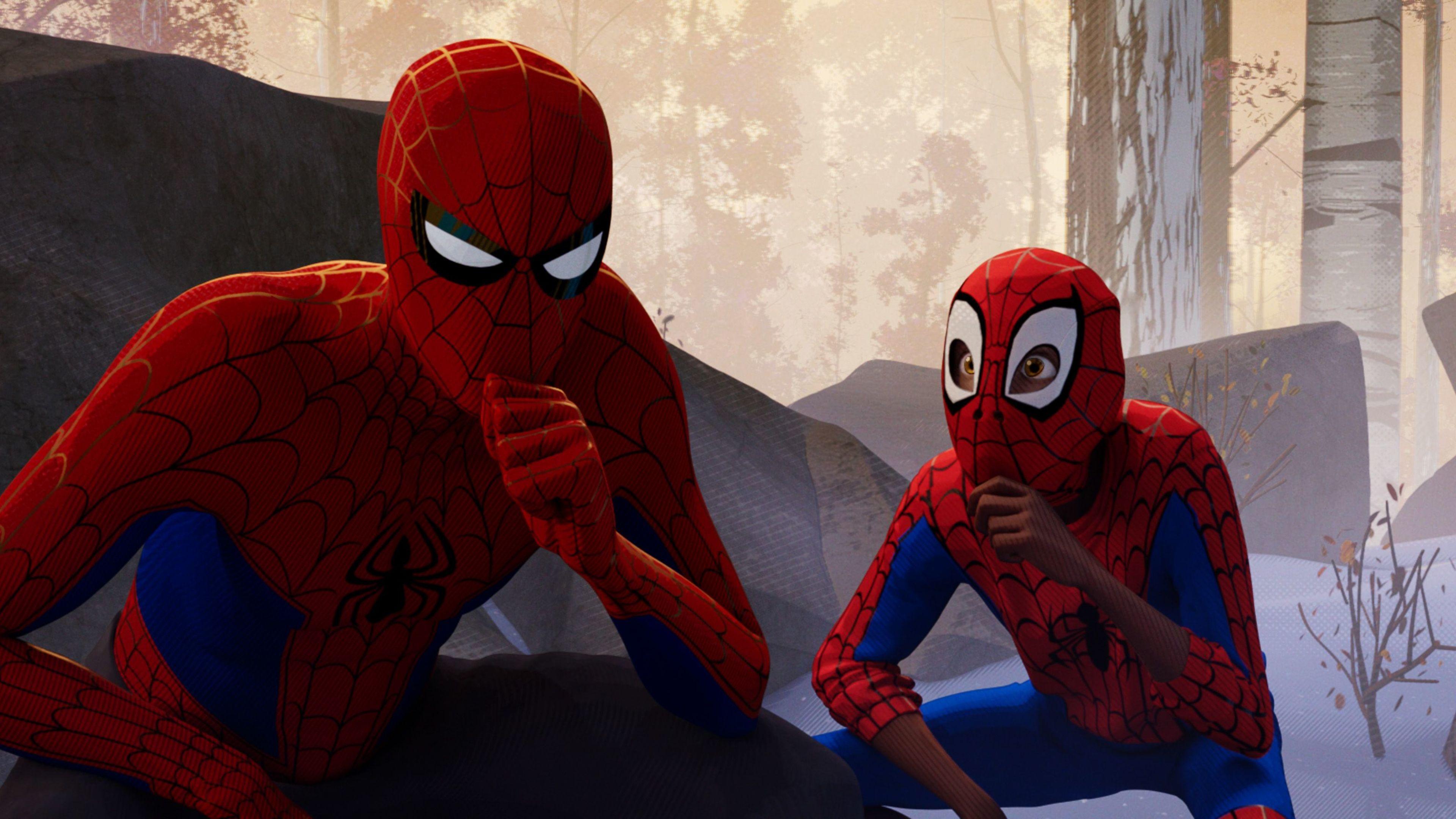SpiderMan Into the Spider Verse Movie 2018 4k Wallpaper. HD