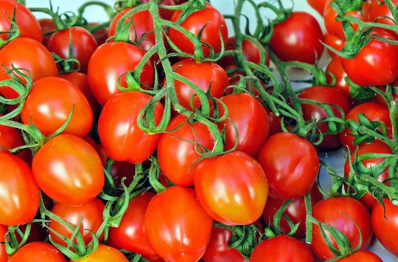 Tomatoes, red, vegetables, mediterranean, vitamins