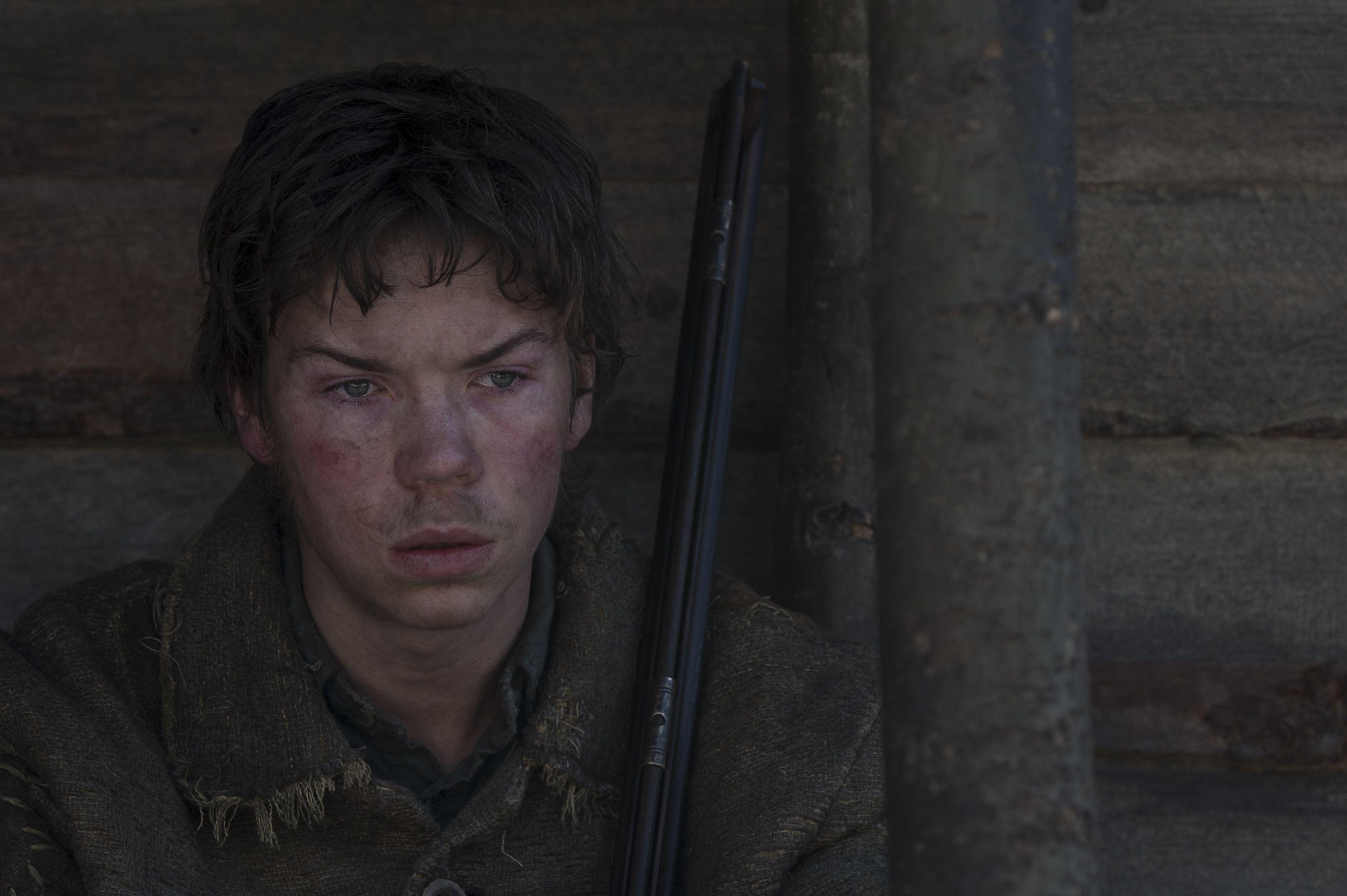 The Revenant HD Wallpaper