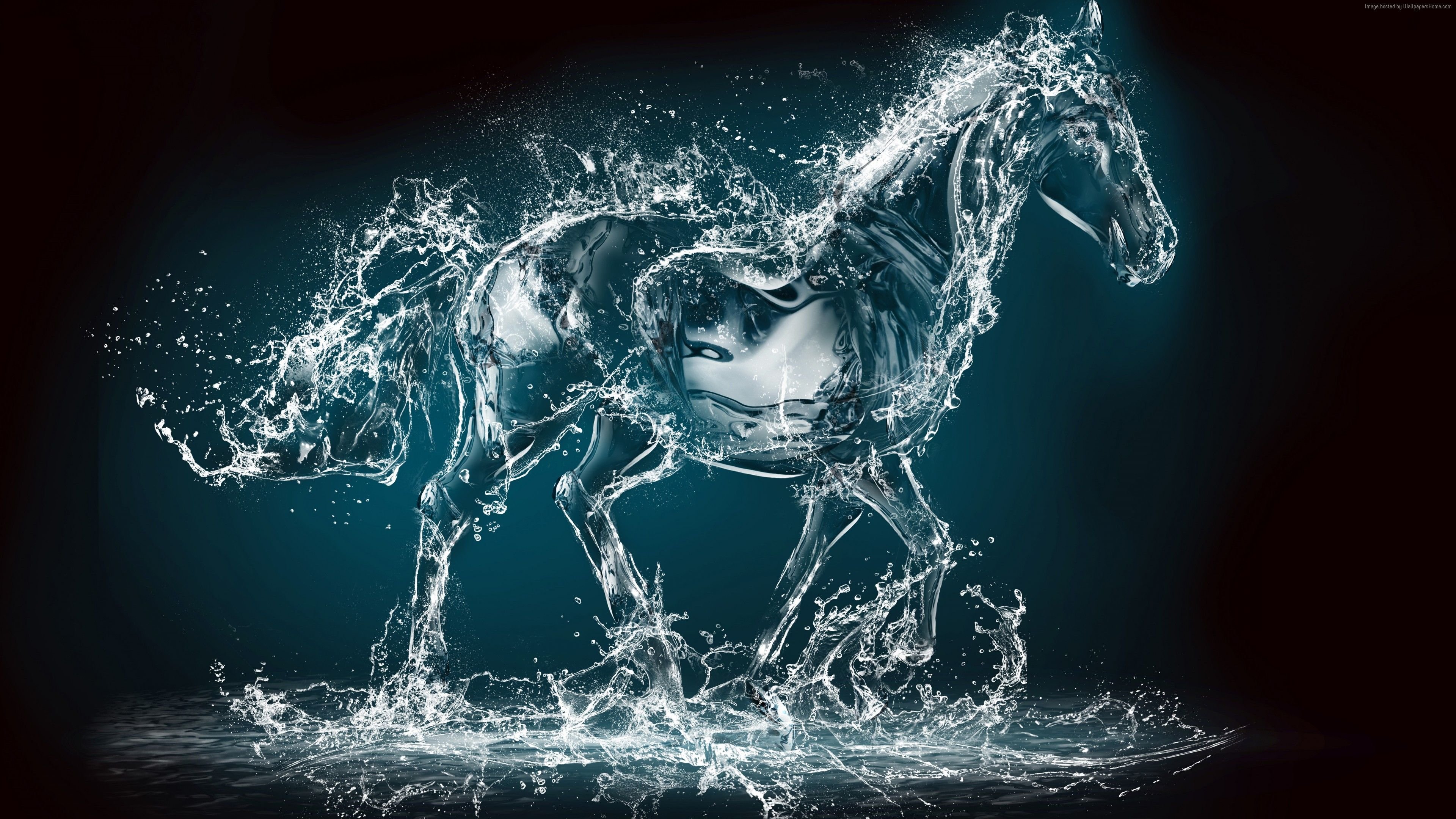 Wallpaper Horse, water, transparent, 10K, Art 10K, horse