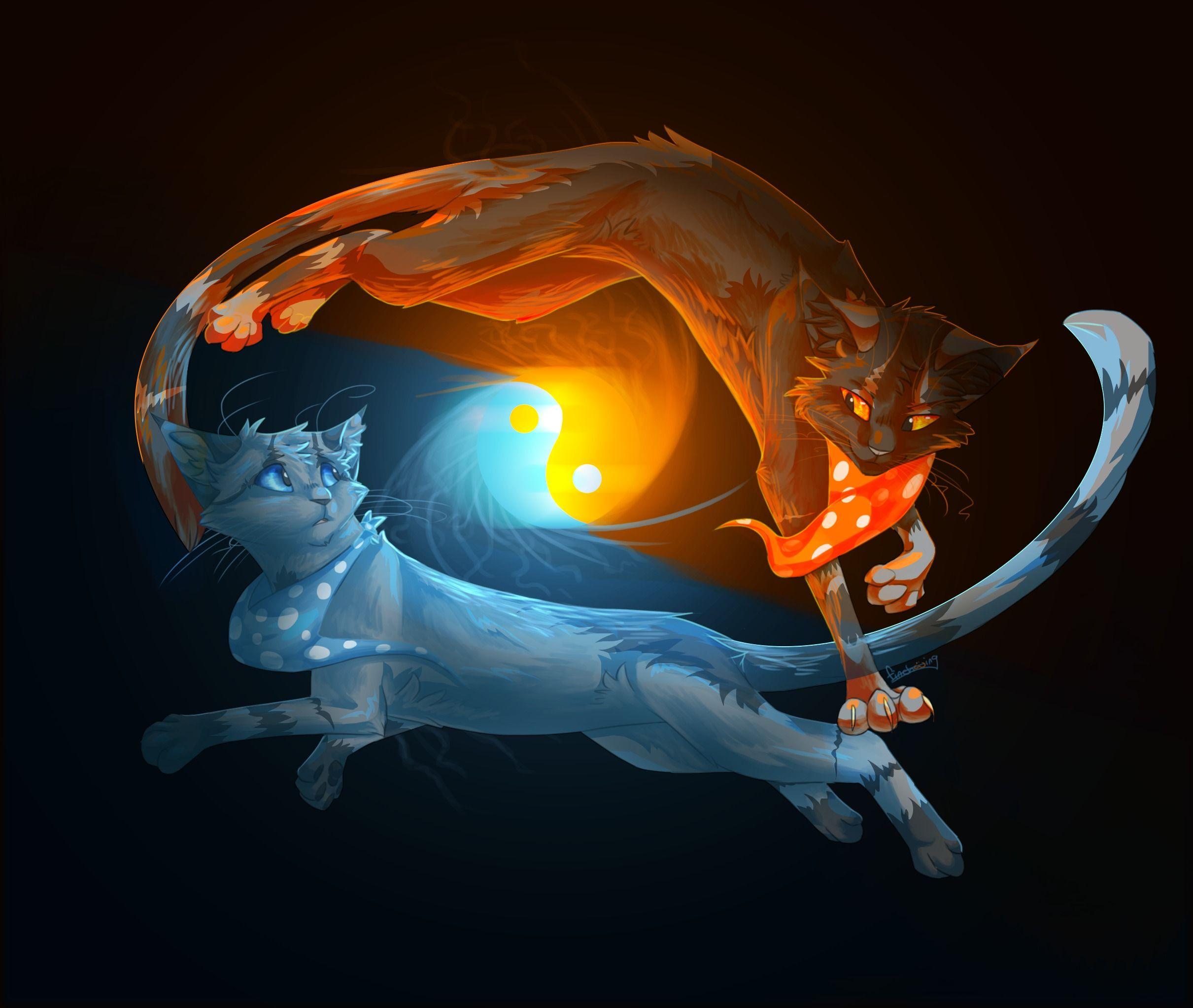 Fire Cats. Animals, Cats, Yin Yang, Fire, Water, Black Background